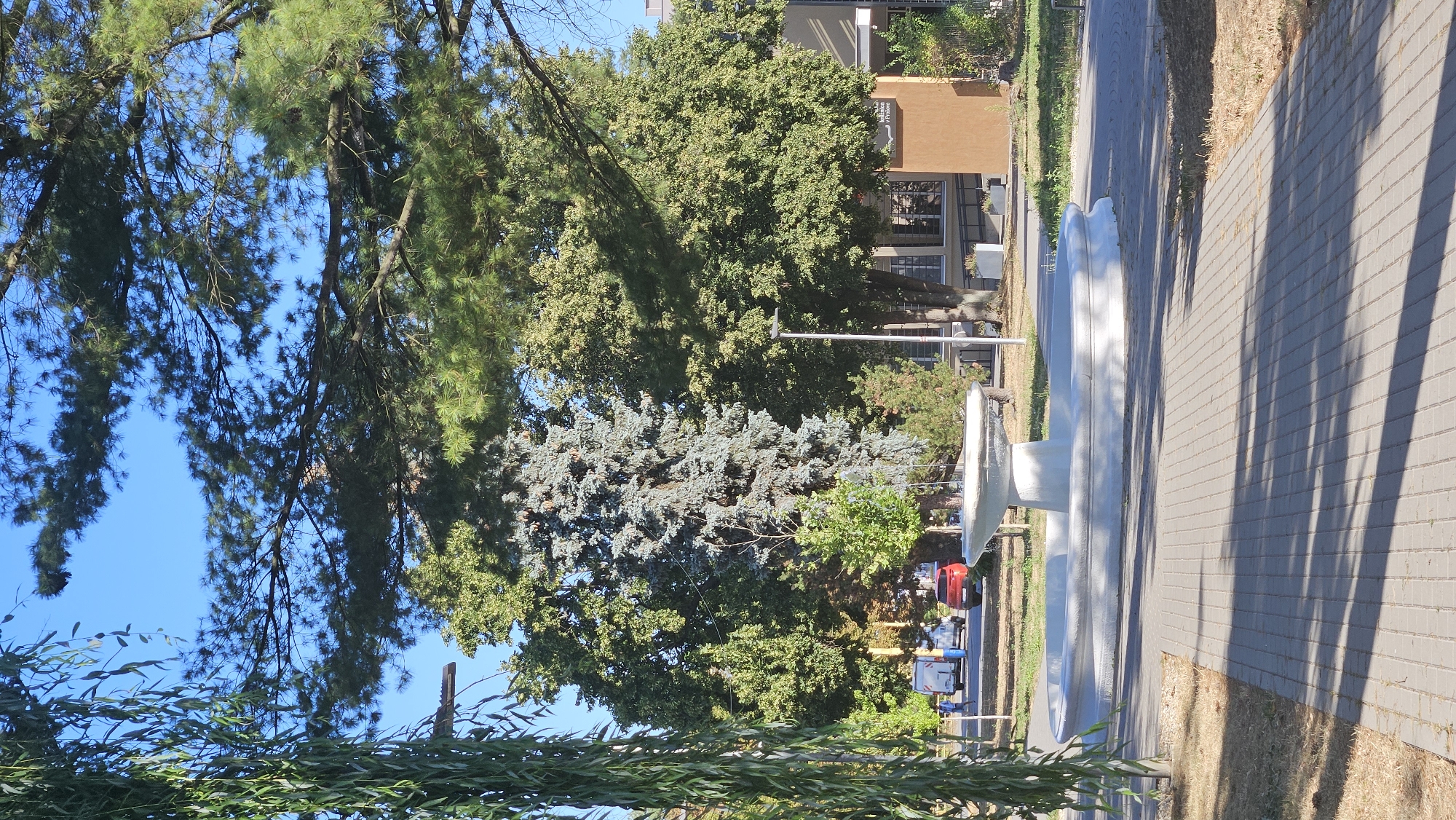 The image depicts a concrete fountain in a park-like setting with trees and a paved walkway in the foreground. The fountain is white and appears to be modern in design, with a tiered structure. Behind the fountain, there are various trees, including a large blue spruce and other deciduous trees with green foliage. In the background, there is a building with a brown facade and windows, as well as a street with cars and people. The sky is clear and blue.
The building in the background features signage that indicates "Komunitné centrum" and "v Prešove", which translates to "Community center in Prešov". This information, combined with the visual context of a public park area, strongly suggests the location is a community center or its surrounding grounds in the city of Prešov, Slovakia. The scene appears to be during the daytime, under sunny conditions.