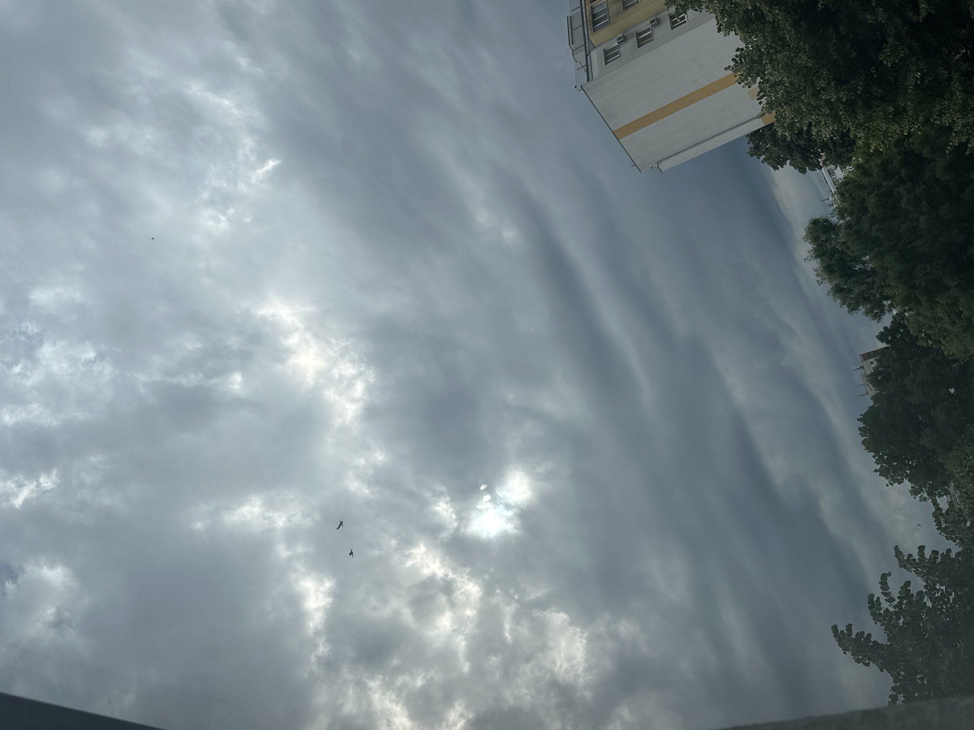 A photograph captures a cloudy sky with the sun peeking through a gap in the clouds, casting rays of light. Three birds are visible flying in the sky. In the lower right corner of the image, a multi-story building with light-colored walls and yellow accents is partially visible. Lush green trees line the bottom of the frame, obscuring the ground level. The overall scene suggests an outdoor environment in a city setting.