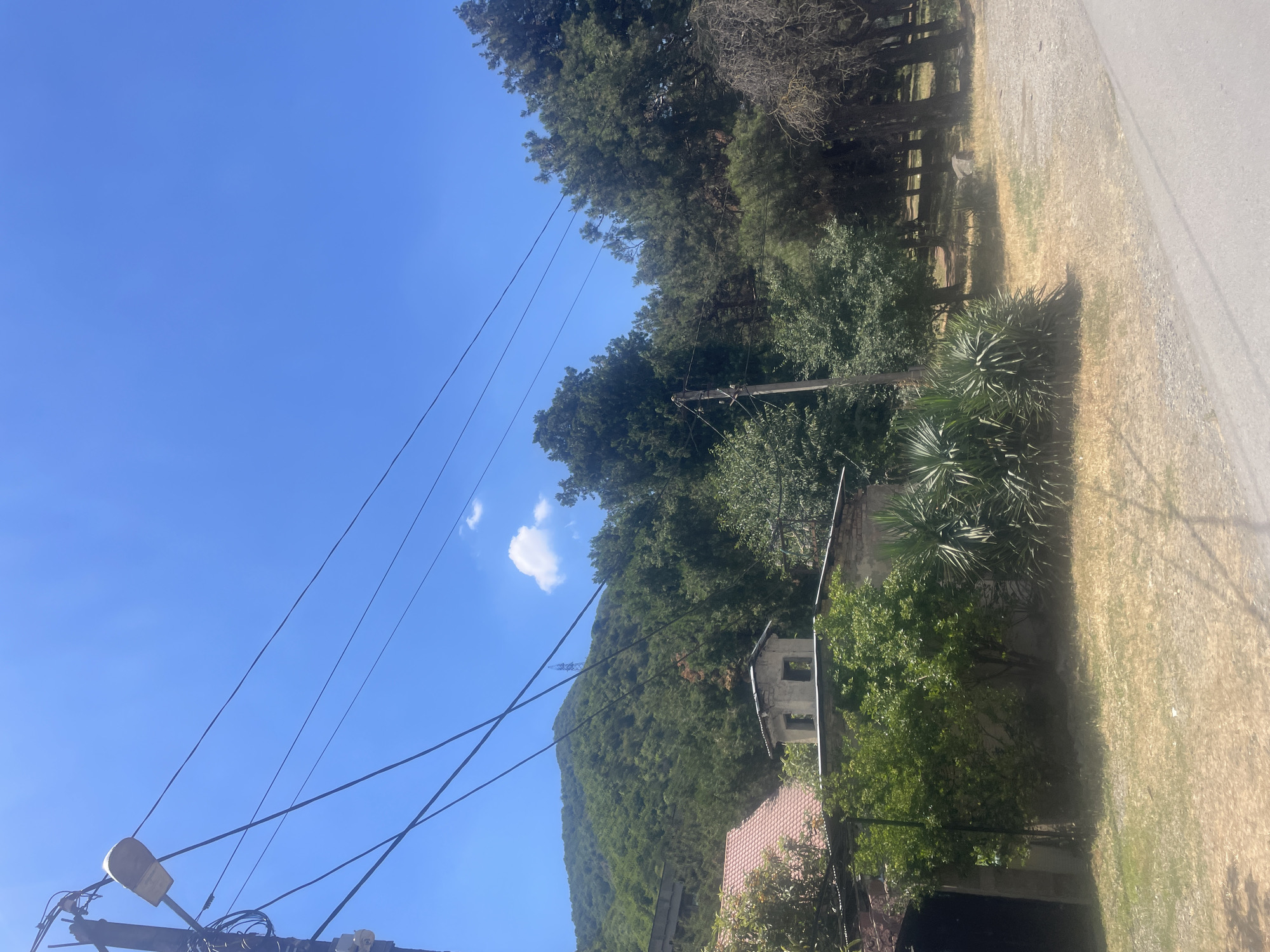 The image captures a rural scene under a clear blue sky in Mtskheta, Georgia. In the foreground, a weathered street lamp is mounted on a utility pole, draped with several black electrical wires. To the left, the roof of a building with red tiles is partially visible. Adjacent to it is a small, dilapidated structure with an unfinished brick facade and two open window-like openings. Lush green trees, including some tall pines and a yucca-like plant, surround the structures and extend towards a verdant, tree-covered hillside that dominates the background. The ground is covered in dry, yellow grass and gravel, suggesting a warm climate. The overall impression is one of a quiet, somewhat neglected rural settlement nestled within a natural landscape.