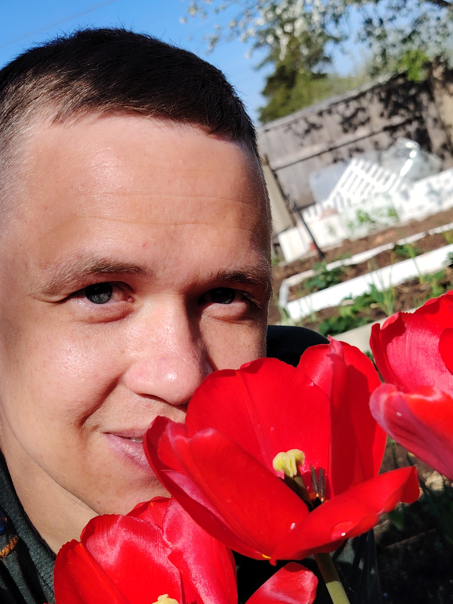 A close-up image shows a person with short, dark hair and light eyes smiling slightly. Part of the person's face is obscured by several bright red tulips. Behind the person and flowers, the background includes a fence, some greenery, and a glimpse of a blue sky with tree branches and blossoms. The location is Chaikovsky, Russia.