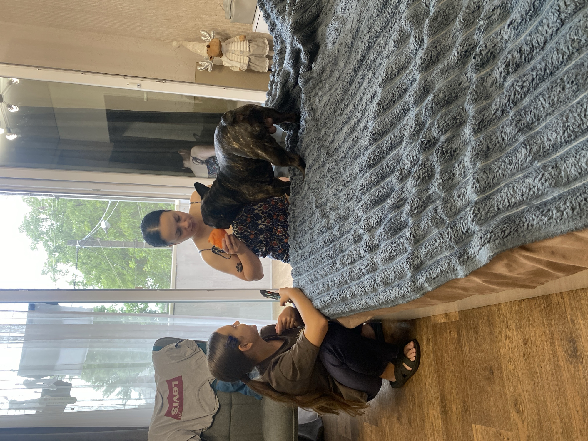In an indoor residential setting, likely an apartment in Kamianske, Ukraine, a young girl with a long brown ponytail is crouching on a wooden floor, looking towards a French bulldog. She is wearing a dark grey t-shirt and dark blue pants with black sandals. She holds a mobile phone in her right hand. Next to her, a woman in a patterned sleeveless dress is standing and holding an orange object, possibly a toy, for the French bulldog. The dog, with a brindle coat, is standing on a bed covered with a textured blue blanket, facing away from the viewer and towards the woman. In the background, a large window with sheer curtains reveals greenery and what appears to be utility poles outside. A white reindeer decoration with silver antlers and a scarf is visible on a shelf to the right, next to a light-colored bag. The overall environment suggests a casual domestic scene.