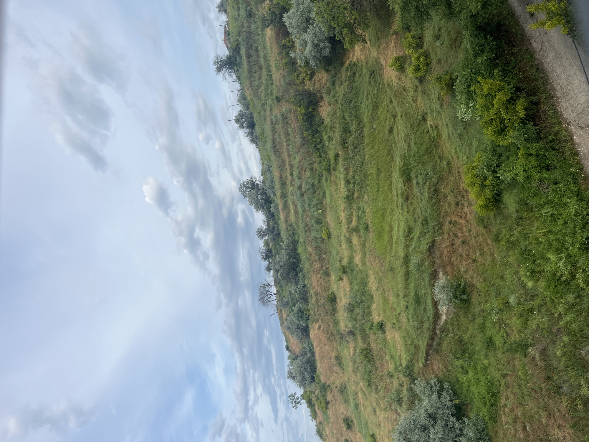 The image depicts a hillside covered in a mix of green and dry grass, with scattered trees and shrubs. The sky is overcast with clouds. In the background, a small house is visible on the crest of the hill. The scene appears to be a natural landscape, possibly a park or undeveloped area within Varna, Bulgaria. There are no people or animals visible in the image. A dirt path winds its way up the hillside. In the foreground, a portion of a paved surface, likely a road or pathway, is visible at the bottom right.