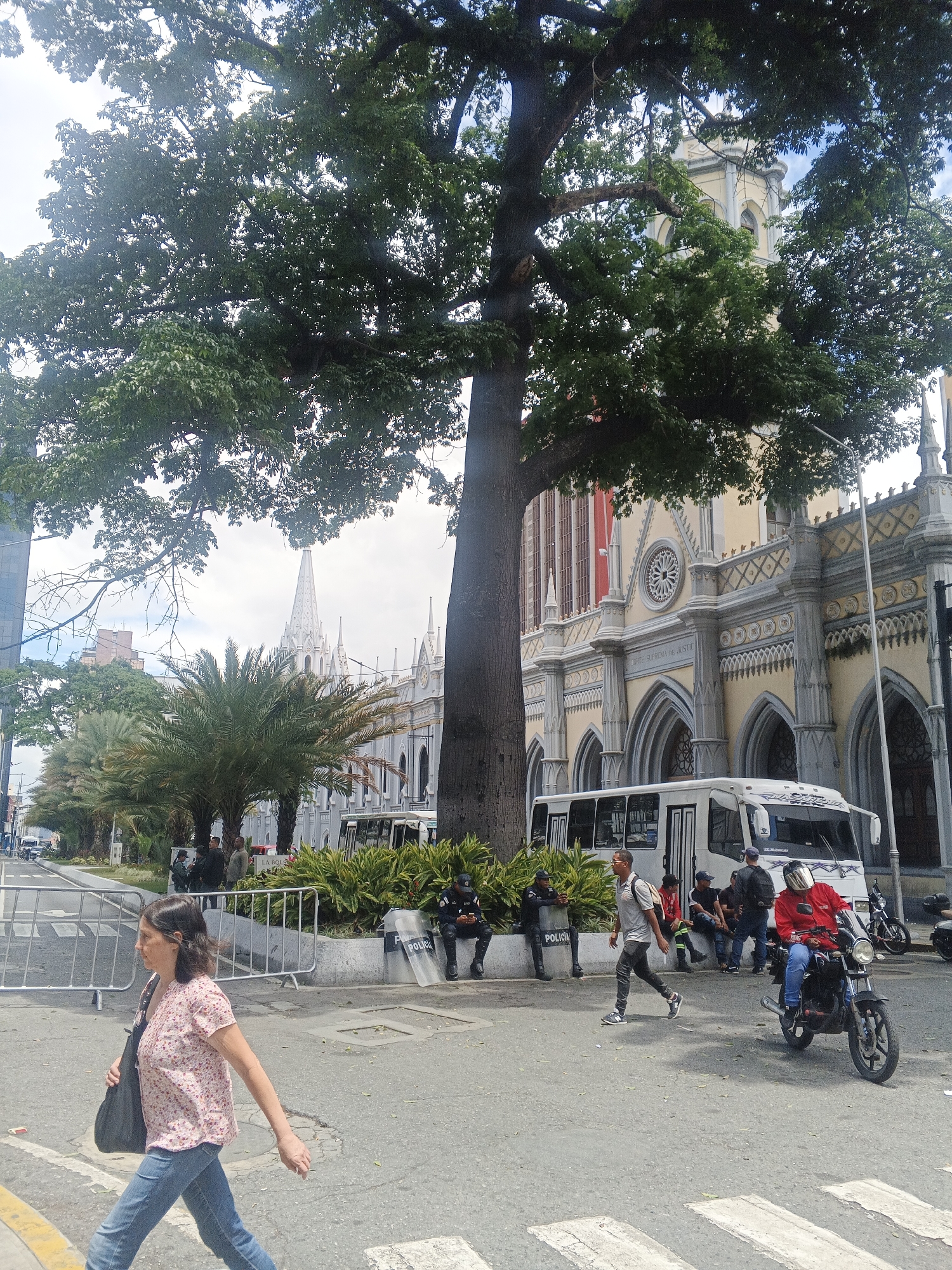 This daytime street scene in an urban area captures a bustling moment outside a prominent, ornate building identified by the text "CORTE SUPREMA DE JUSTICIA" (Supreme Court of Justice). The building features intricate neo-Gothic or similar architecture with light yellow walls, gray decorative arches, columns, spires, and a large circular window.
A massive, mature tree with a thick trunk and dense green canopy dominates the left and central parts of the frame, partially obscuring the building and sky. In the foreground, a woman wearing a floral shirt and jeans walks leftwards across a pedestrian crossing.
The street level shows ongoing activity: a man in a grey shirt walks, and a man in a red jacket and white helmet rides a black motorcycle. A white bus is positioned near the building. Several individuals in dark uniforms, with "POLICIA" visible on their shields, are present, some sitting on a low wall alongside metal crowd control barriers. Other people are seen standing or sitting nearby.
Palm trees and lush green shrubs adorn a median strip. In the background, another building with a distinctive tall white spire is visible. The scene is well-lit under a clear sky, suggesting sunny weather. A partially obscured sign on the median reads "LA BOLSA."