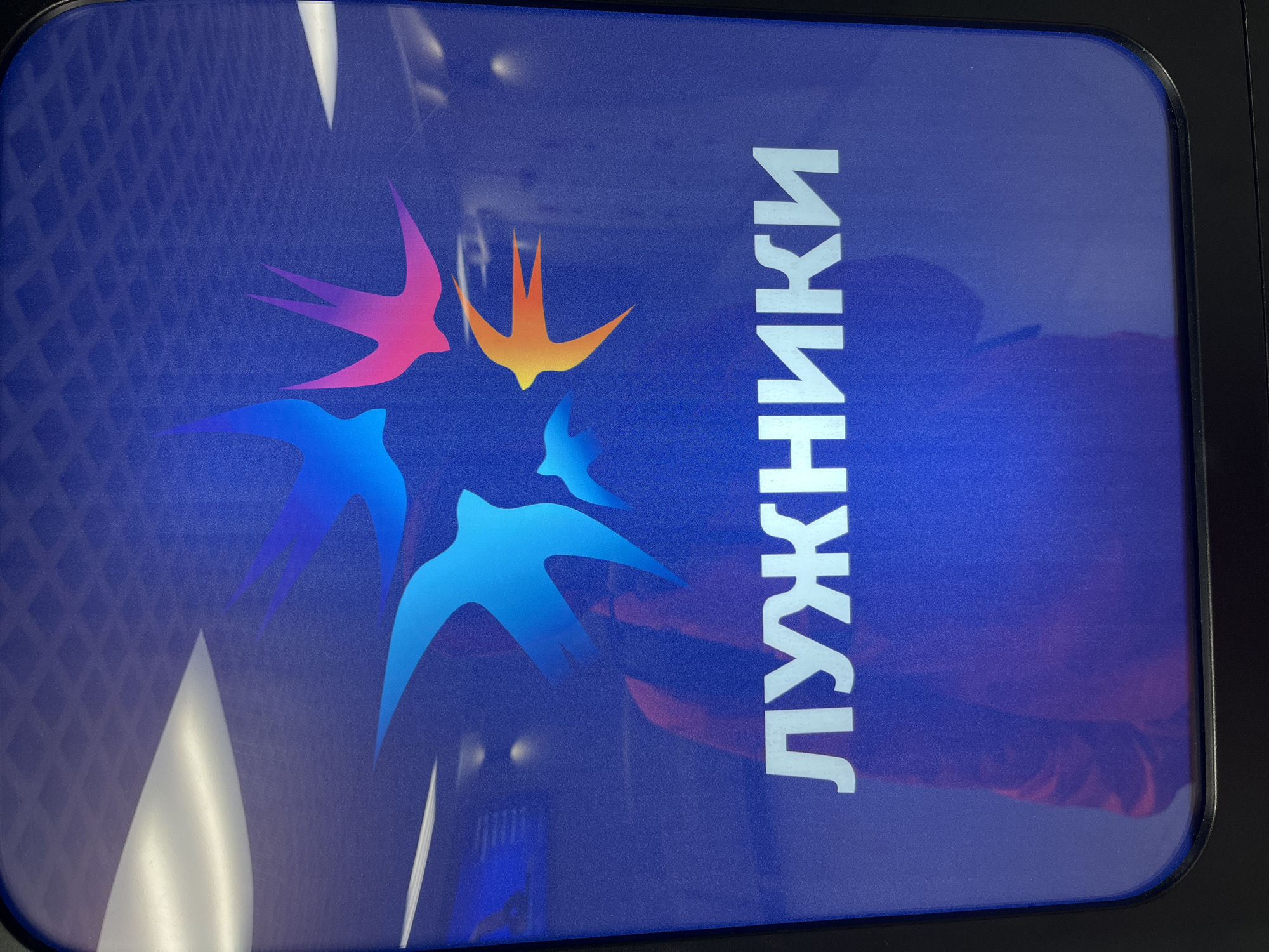 The image shows a sign that reads "Лужники" in white Cyrillic letters. To the left of the text is a stylized image of five birds in flight, each a different color: purple, pink, orange, dark blue, and light blue. The background is a medium blue color. The sign appears to be mounted in a frame with a rounded corner, possibly a display case or informational panel. The location of the sign is in Moscow, Russia, as indicated by the Cyrillic text referring to Luzhniki.