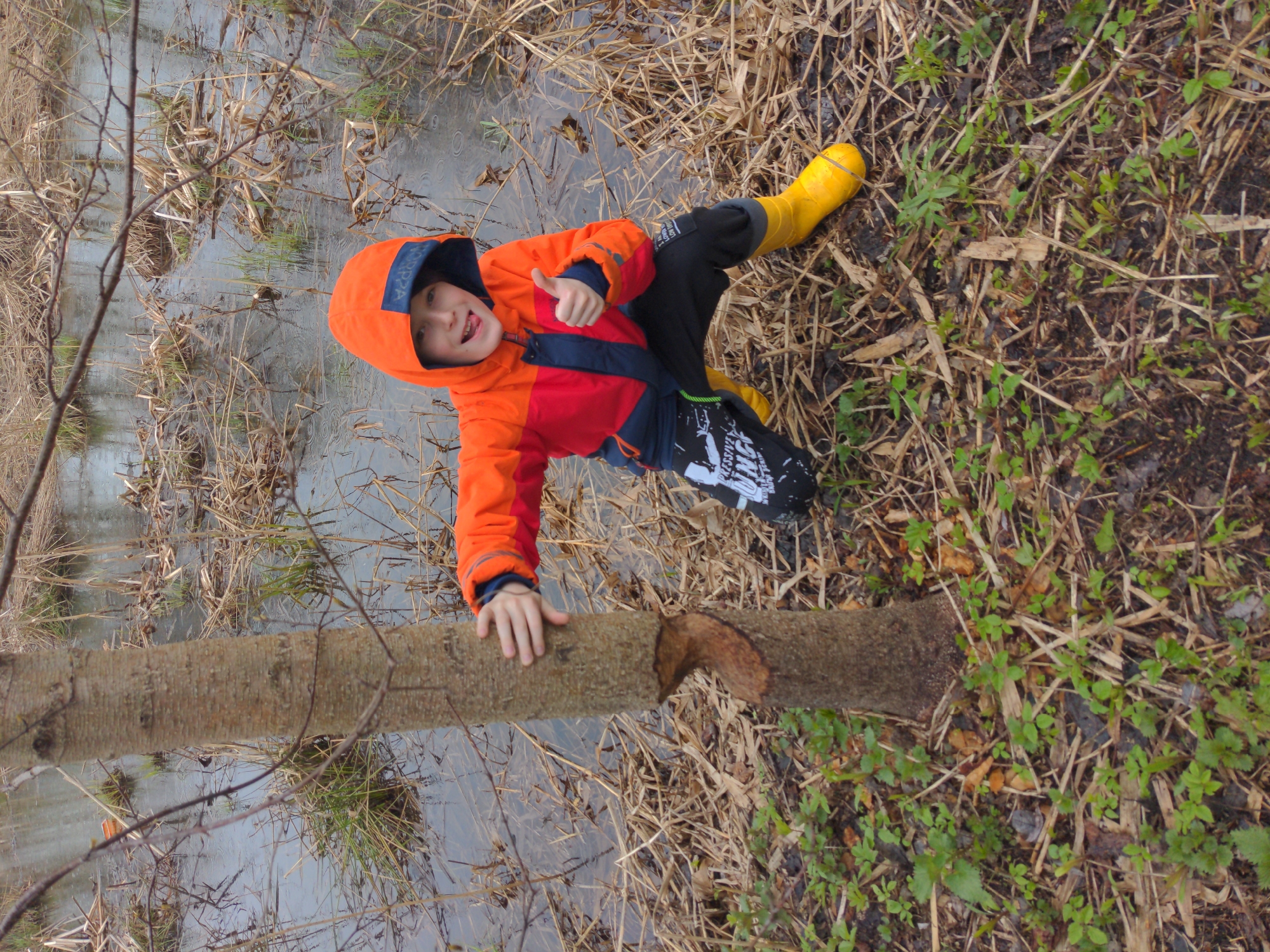 A young child is positioned outdoors in an environment characterized by marshy terrain with damp ground covered in fallen twigs, dry vegetation, and patches of green growth. The child is wearing an orange and red hooded jacket, dark trousers with white graphic prints, and yellow rubber boots. The child's left hand is placed on a log that appears to have been partially cut, spanning a body of water. The child is looking at the camera with a smiling expression and is giving a "thumbs up" gesture with their right hand. The location is suspected to be the city of Khimki, Russia.