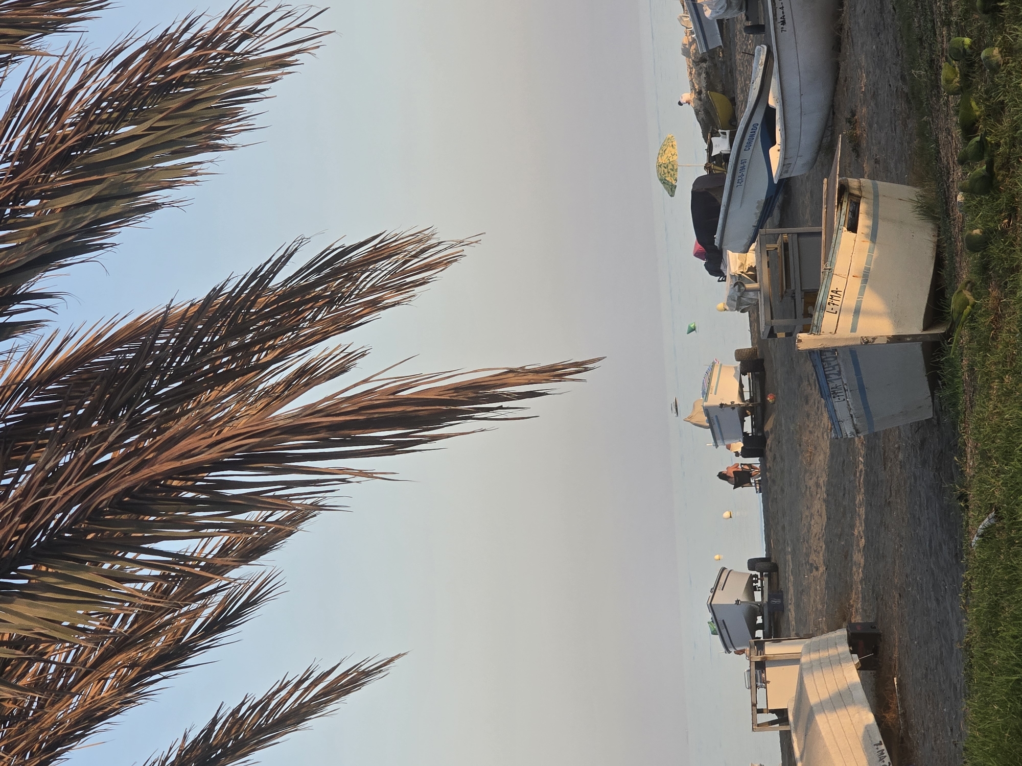 The image depicts a beach scene in Málaga, Spain, likely near the fishing districts. In the foreground, several boats are pulled up onto the sandy shore. Some are resting on trailers, while others are on the ground. In the middle ground, more boats are visible, along with a few yellow buoys in the water. A person is seated on a chair near the water's edge, and a yellow and green umbrella provides shade. In the background, the calm sea stretches to the horizon, meeting a clear, pale blue sky. Palm fronds hang into the frame from the top, suggesting a coastal, possibly Mediterranean, environment. A flock of small green birds is present on the grassy area in the lower part of the frame. The overall atmosphere is serene, indicative of a tranquil coastal setting.