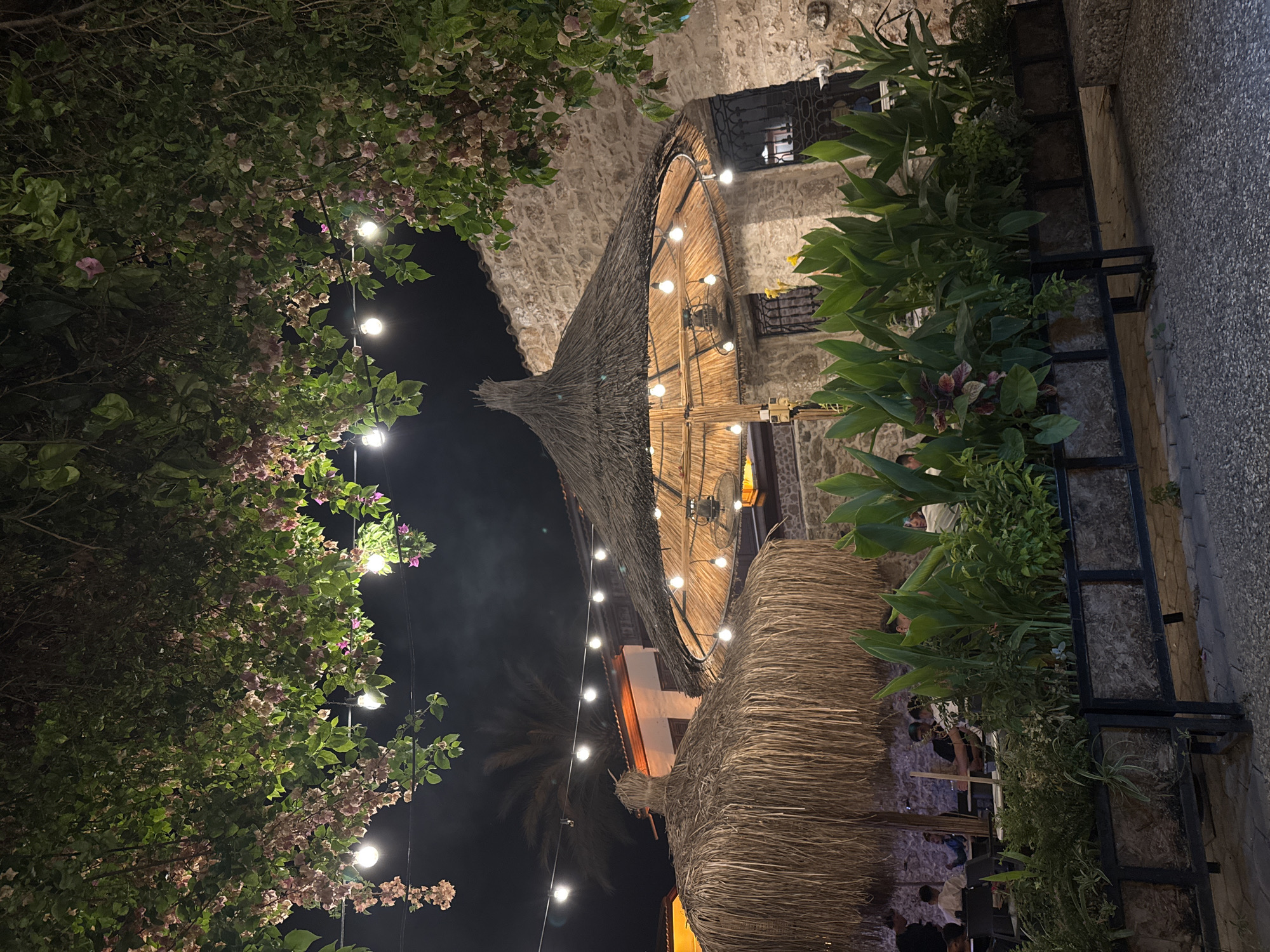 The image depicts a nighttime scene at an outdoor dining establishment, likely in Antalya, Turkey, given the architectural style and vegetation. The foreground is dominated by planters filled with lush green plants, including large-leafed varieties and smaller shrubs, all illuminated by the ambient light. Two thatched roof umbrellas are visible, one larger and circular with lights strung underneath, and a smaller, conical one to the left. Behind the umbrellas, a stone building with arched windows and decorative metal grilles forms the backdrop. String lights hang overhead, interspersed with branches of a flowering tree adorned with delicate pink blossoms. In the background, silhouetted figures of patrons are seated at tables, suggesting a dining or social gathering. The overall atmosphere is warm and inviting, with a focus on natural elements and ambient lighting.