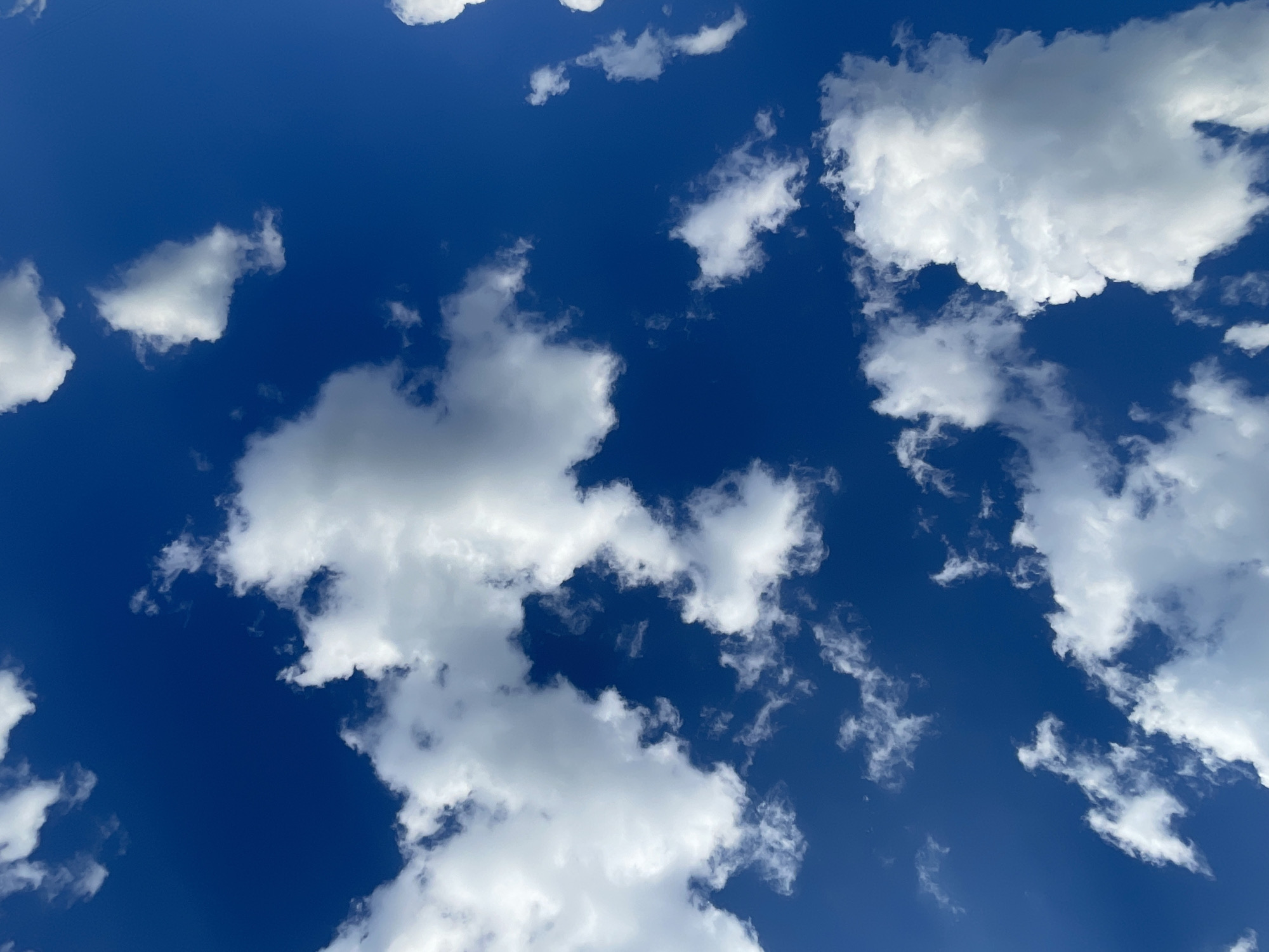 This media file captures a vivid daytime sky, predominantly filled with a deep, rich blue. Scattered across this expansive blue canvas are numerous cumulus clouds of varying sizes and shapes. The clouds are a mix of bright white, indicating direct sunlight, and soft gray, particularly on their undersides and shaded areas, which adds depth and texture. Some clouds appear large and fluffy, while others are smaller, more wispy formations. The overall impression is one of fair weather with distinct cloud formations, illuminated brightly by the sun. There are no visible people, objects, or text within the frame. The image portrays a natural sky scene, likely taken during daylight hours, given the clear blue and bright illumination of the clouds. While the image itself doesn't offer specific visual cues for Moscow, Russia, this is the provided location context.