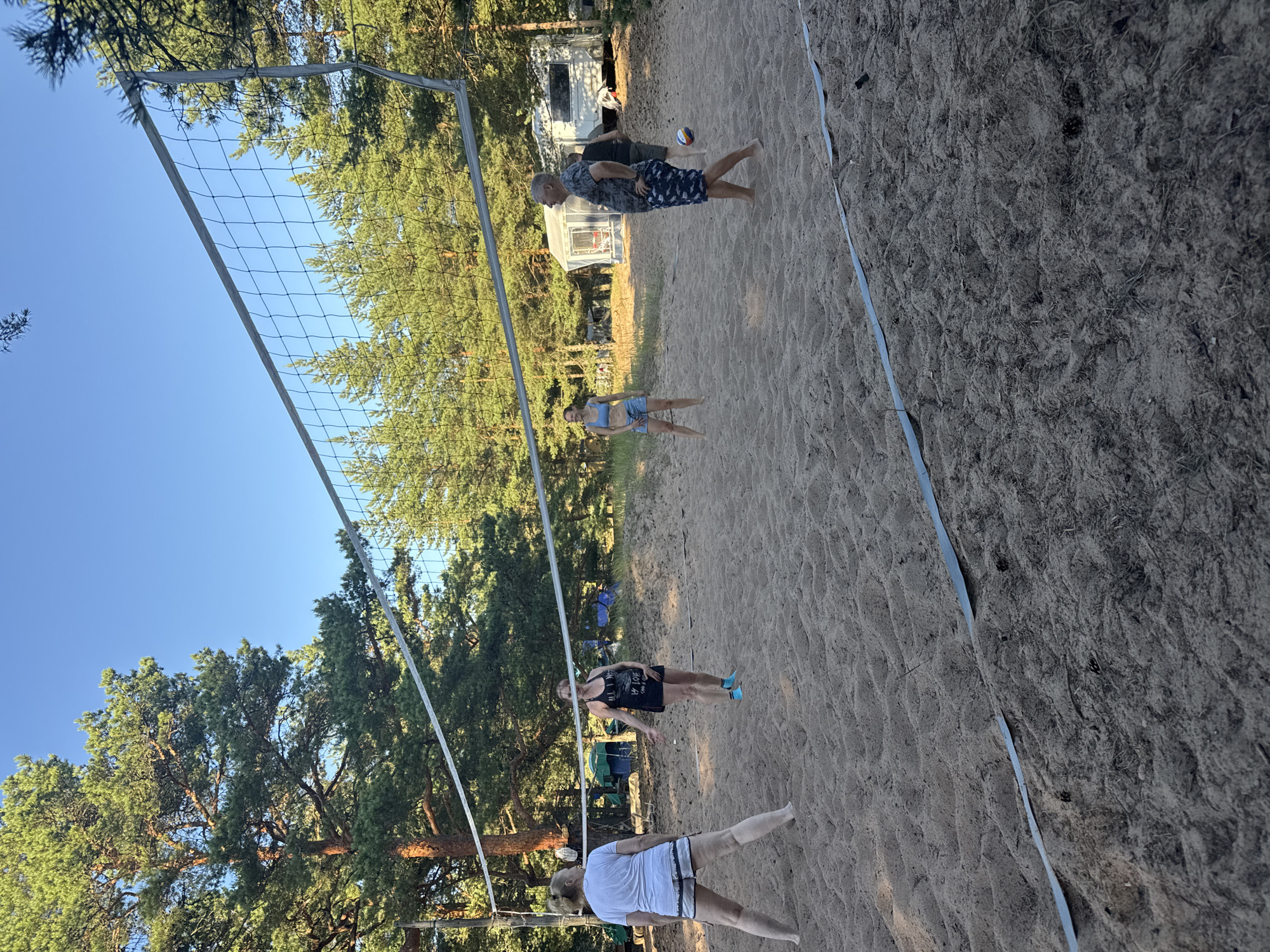 A group of people are playing volleyball on a sandy court surrounded by pine trees. The sky is clear and blue, indicating a sunny day. The volleyball net is set up, and several individuals are positioned on either side of it. One person on the left is facing away from the camera, wearing a white t-shirt and shorts. On the right side of the net, a man in patterned shorts and a t-shirt is looking to his left. Another person, a woman in a blue bikini top and shorts, stands to the left of the man. Further back, two other individuals are visible near tents and a camper van. The ground is covered in sand, with some dried pine needles scattered around. The overall setting appears to be a recreational area within a natural environment.