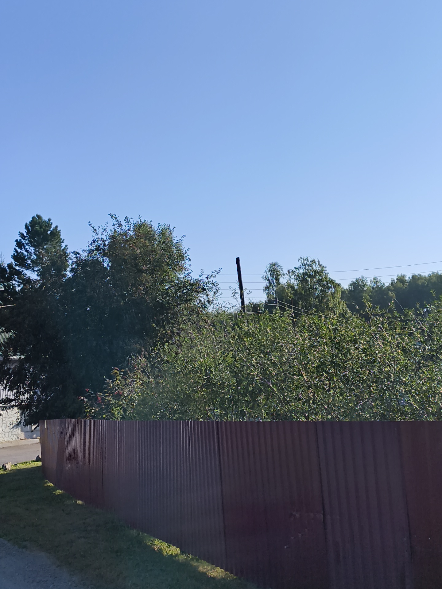 The image depicts an outdoor scene with a clear blue sky above a dense line of green trees and bushes. A corrugated metal fence, brown in color, runs horizontally across the foreground, extending from the left side of the frame towards the right. To the left of the fence, a grassy area is visible, and beyond that, a gravel path. A portion of a building with a stone-like facade is also present on the far left. The scene appears to be located in a rural or suburban setting in Mayma, Russia, likely during daylight hours.