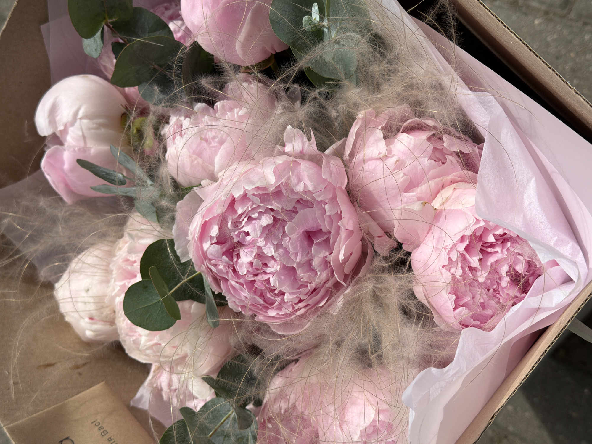 The image captures a top-down view of a lush bouquet of pink peonies presented within a light brown cardboard box. The bouquet features numerous peonies in various stages of bloom, from tight buds to fully open flowers, showcasing their intricate, ruffled petals in shades of soft to vibrant pink. Interspersed among the flowers are sprigs of green foliage, possibly eucalyptus, identifiable by its round, muted green leaves, providing a fresh contrast.
Delicate, wispy, feathery elements of a pale beige or light brown color are woven throughout the arrangement, adding a soft, airy texture. The flowers are cradled by layers of soft pink tissue paper, which also lines the interior of the cardboard box. The box's simple, utilitarian appearance suggests a delivery or gift packaging.
The scene is illuminated by bright, natural light, indicative of daytime. A textured, dark grey surface is visible in the upper right corner of the frame, hinting that the box might be outdoors or on an unrefined surface. In the lower left corner, a small, brown paper item, possibly a card or a bag, is visible, with partial text "ina Bac!" printed on it. The overall impression is one of beauty and tenderness, likely representing a cherished gift or a fresh floral delivery.