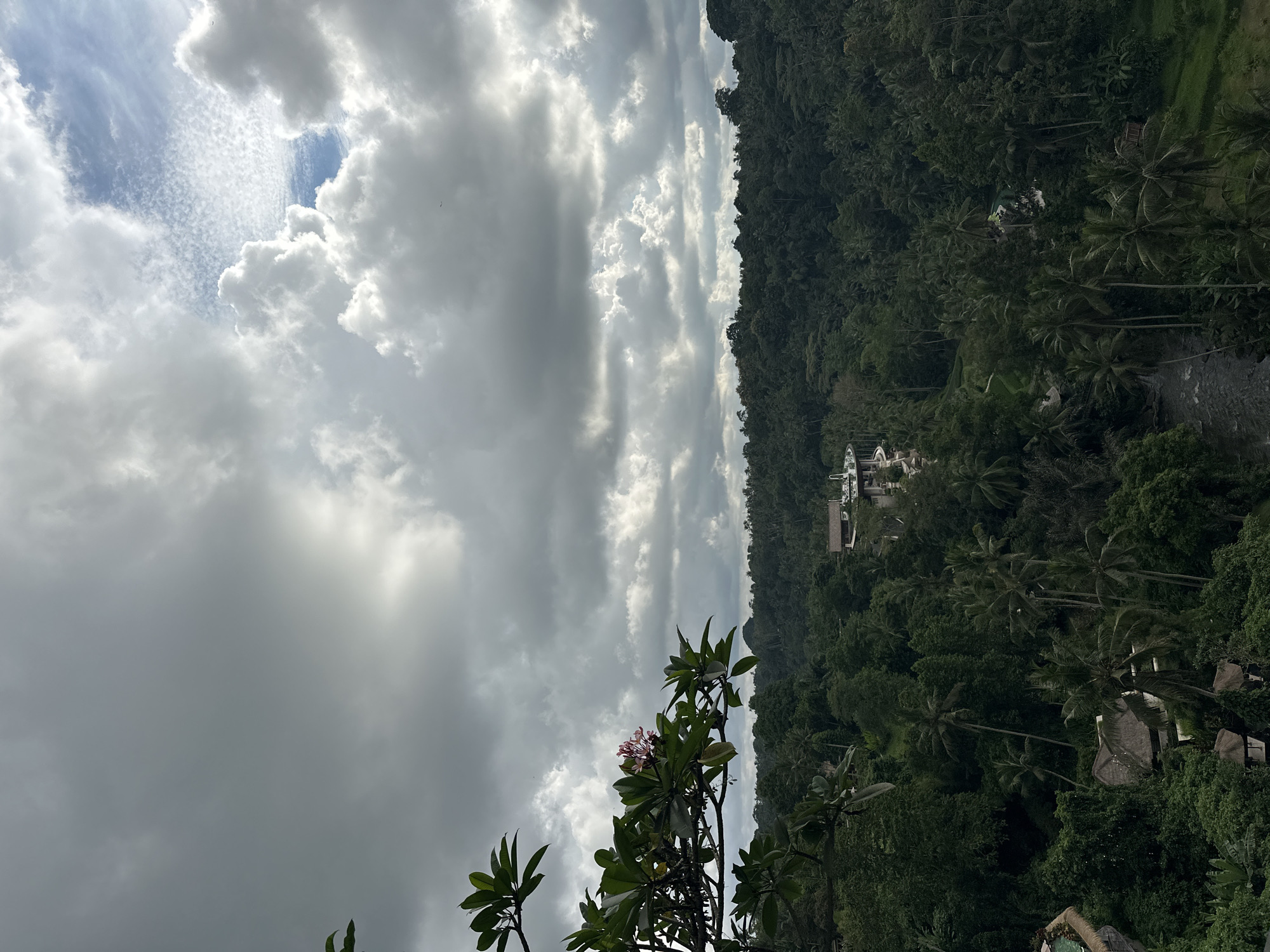 The image captures a view in Ubud District, Indonesia. The scene features a dense tropical forest, with various trees, including palm trees. A river flows through the forest. Buildings are scattered within the forest. The sky is filled with grey and white clouds, with a patch of blue visible. In the foreground, a flowering plant with green leaves and pink flowers is visible. The photograph is taken from an elevated position, providing an overview of the landscape.