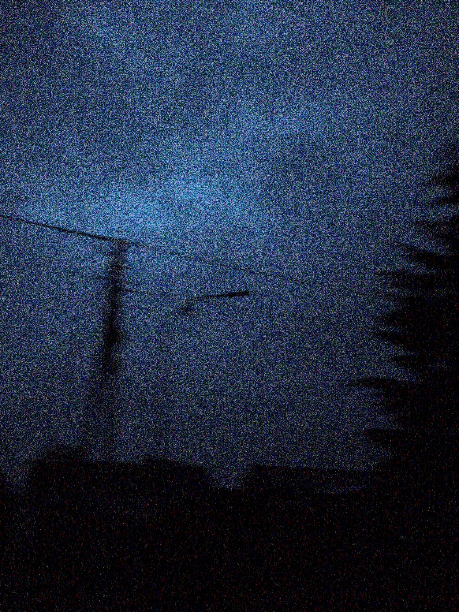 The image is a nighttime photograph of a dark, grainy sky with some faint blue hues. In the mid-ground, silhouetted against the sky, is a utility pole with wires stretching across the frame. To the right, a dark, fuzzy silhouette of a tree is visible. The foreground is completely black, obscuring any details of the ground or any structures. The overall impression is one of a rural or suburban environment at night, possibly with low light conditions or a high level of digital noise in the image. The specific location in Ustyvytsia, Ukraine, is not discernible from the visual information provided in the image.