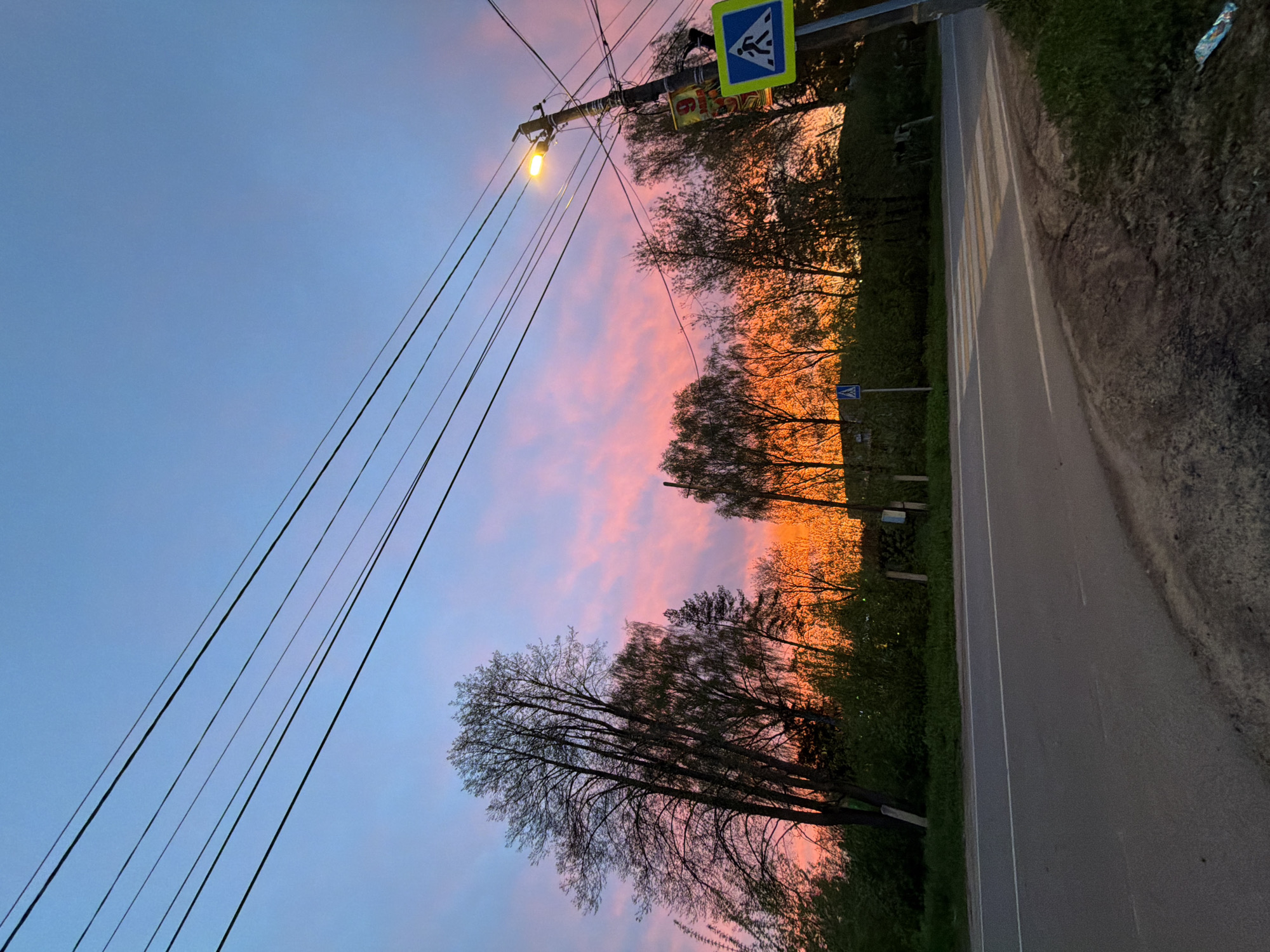The image captures a dusk scene in Reshetnikovo, Russia. A gray asphalt road runs along the right edge, marked with a white line and a pedestrian crossing. Adjacent to the road is a strip of green grass and foliage. Trees, largely bare-branched, line the background, silhouetted against a sky ablaze with a mix of pink, orange, and blue hues, indicative of sunset or sunrise. Utility poles and overhead power lines are visible on the left side, intersecting the sky. A street light emits a yellow glow from atop one of the poles. Pedestrian crossing signs are mounted on the utility pole.