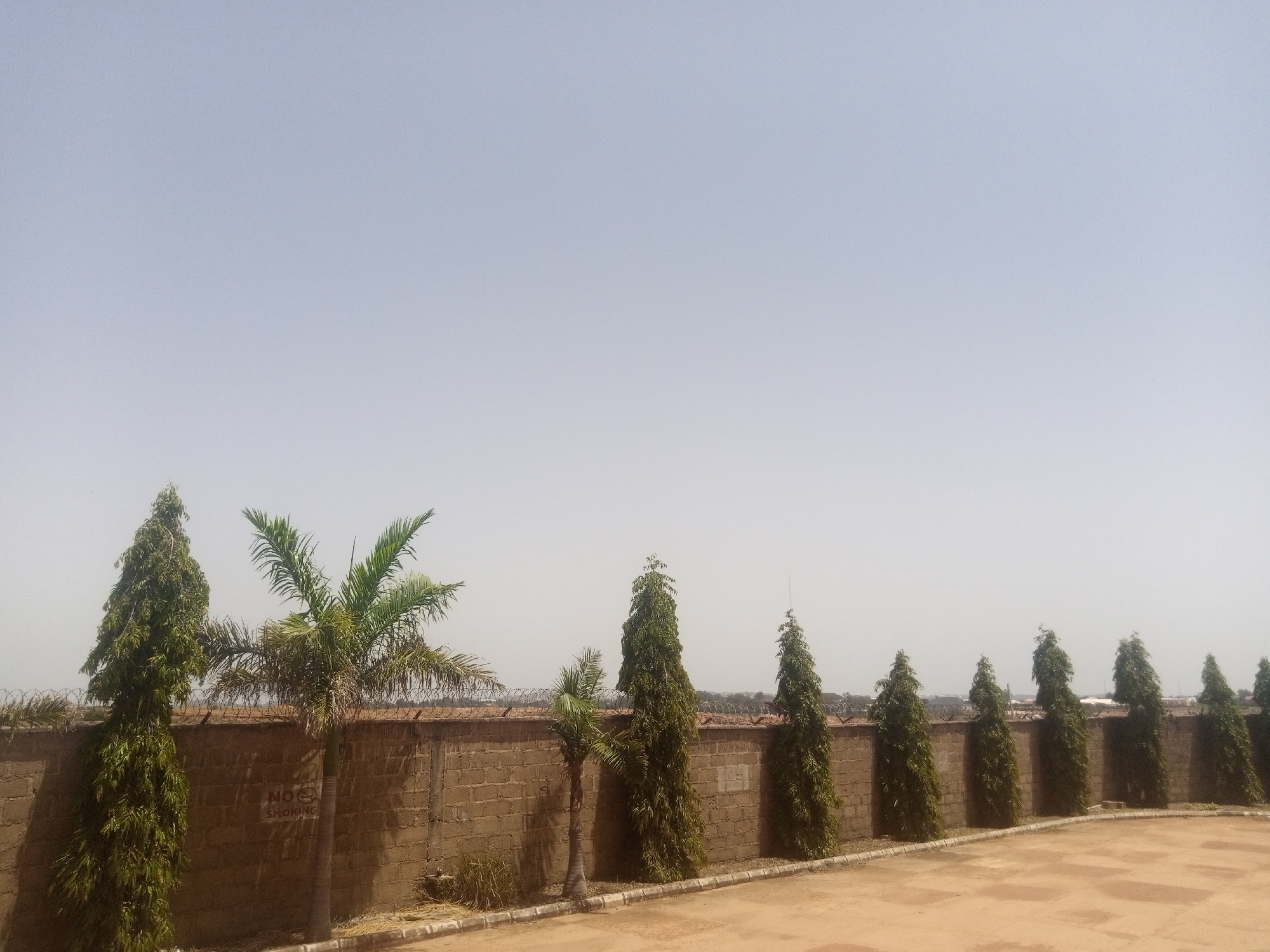 In a sunny outdoor scene, a brick wall topped with barbed wire stretches across the midground. A row of ten tall, slender trees are planted along the wall, with a single palm tree and another taller, leafy tree to the left. The ground in front of the wall is a light-colored pavement, with a sandy area to the far left. The sky is a hazy, pale blue, with no clouds visible. The scene appears to be a boundary of some kind, possibly a property line or a security perimeter. The overall impression is one of a functional outdoor space with minimal landscaping.