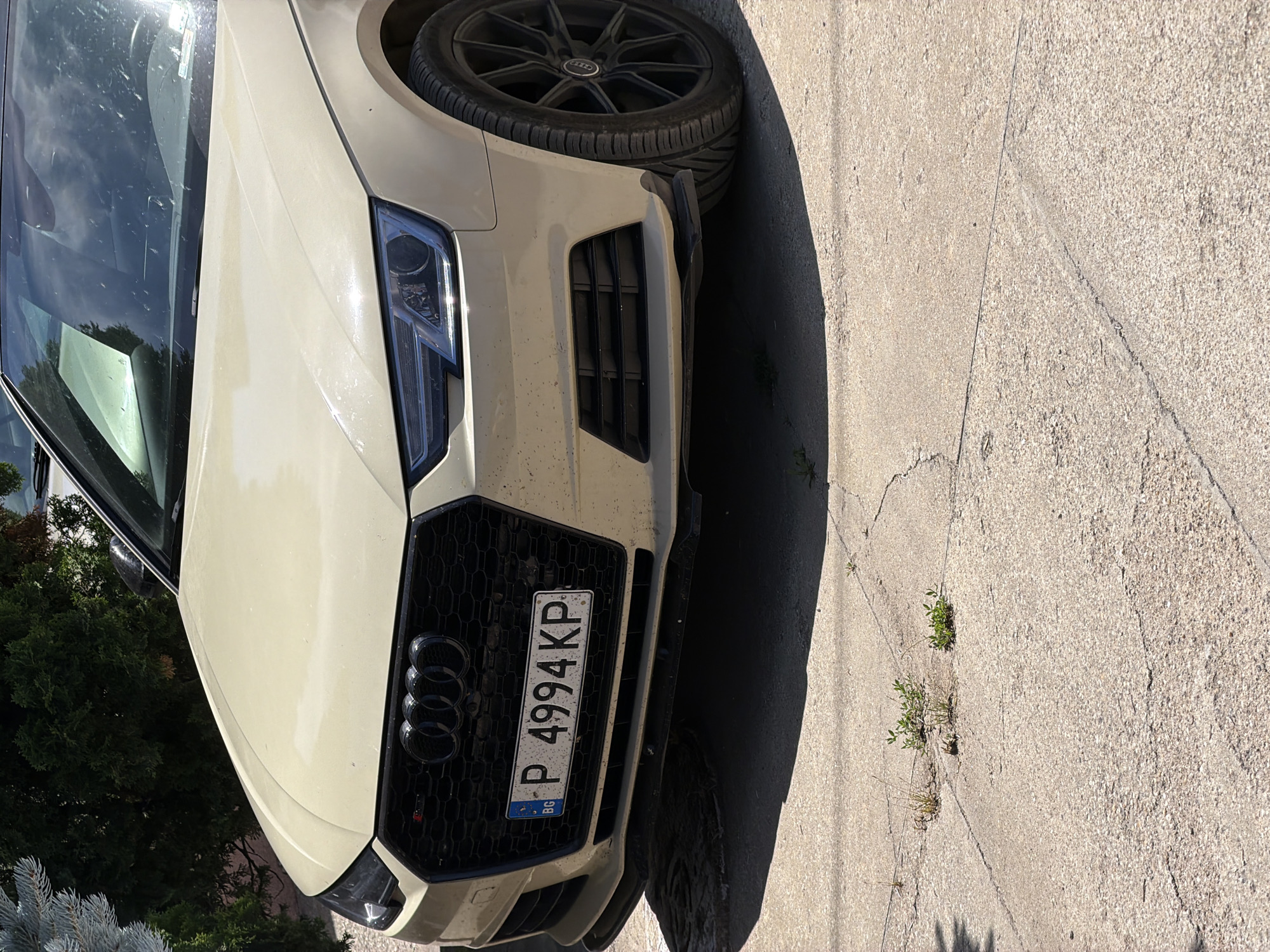 The media file shows the front of a light-colored Audi sedan parked on a concrete surface. The car is angled, with its front grille, headlights, and license plate clearly visible. The license plate reads "P 4994 KP BG". The car appears to be outdoors, with trees and foliage visible in the background. The sun is shining, casting shadows, suggesting it is daytime. The concrete ground has some cracks and small weeds growing out of them. The scene is a street or driveway, likely in a residential area given the presence of trees. There are no people visible in the media file. The car's paint has some dust or dirt on it, indicating it may not be recently washed. The overall impression is a still shot of a parked car in an outdoor setting. The location context is provided as Dolno Ablanovo, Bulgaria.