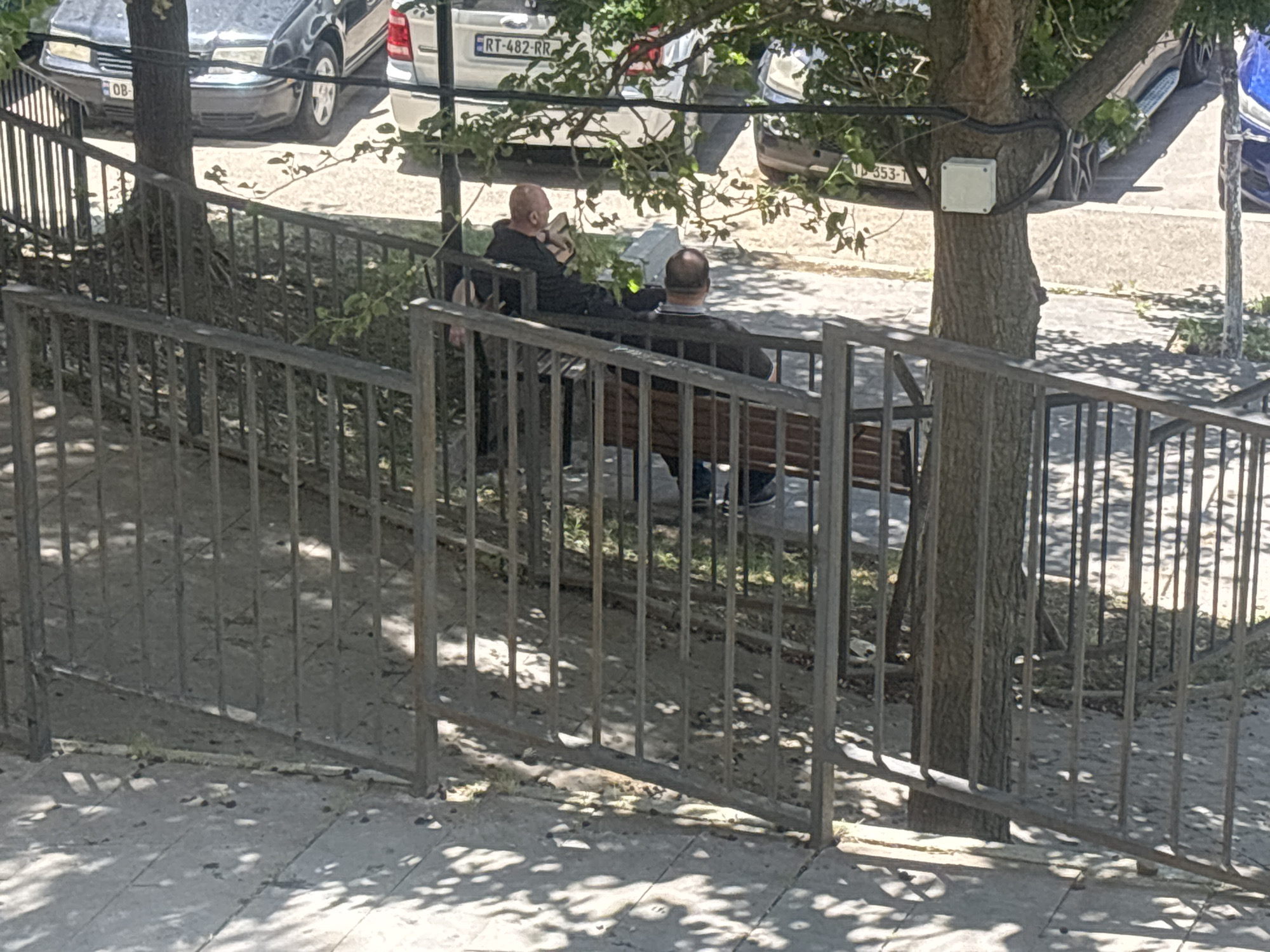 The image shows two men sitting on a park bench under a tree, with a metal fence in the foreground. The men appear to be in conversation. One man on the left is wearing a black hoodie and looking down at something in his hands, possibly a phone or a book. The man on the right is wearing a dark shirt and looking towards the left. In the background, cars are parked along a street, and a white utility box is mounted on the tree trunk. The scene appears to be outdoors during the day, with dappled sunlight filtering through the tree's leaves, suggesting a pleasant weather. The overall atmosphere seems relaxed. The license plates of some vehicles are partially visible, and one reads "RT-482-RR". The location context is Tbilisi, Georgia.