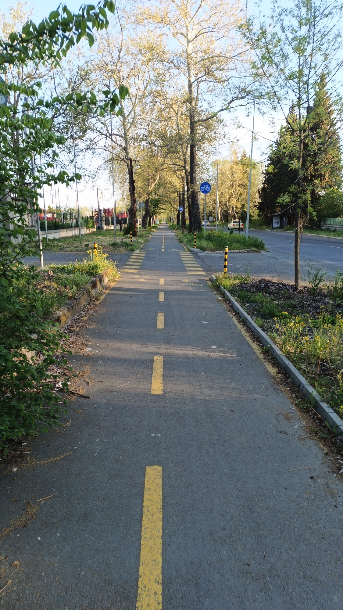 The image shows a dedicated bicycle path located in an urban environment of Unknown, Unknown. The path is made of asphalt and has a yellow line marking its center. It is flanked by grassy areas and trees. A pedestrian crossing is marked with yellow stripes across the path. A blue sign depicting a bicycle indicates the path is for cyclists. A road runs parallel to the bicycle path. The lighting suggests it is daytime. No people are visible in the image.