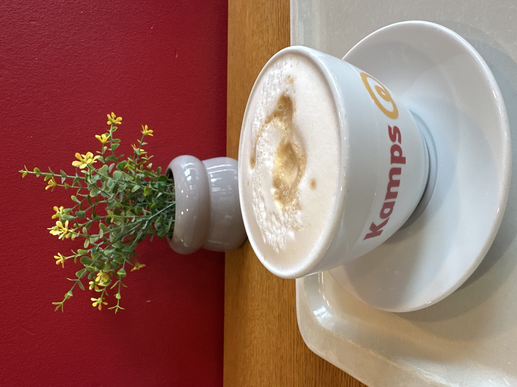 The image shows a white cup of frothy coffee, likely a cappuccino or latte, resting on a saucer. The cup has the red text "Kamps" and a circular orange logo on it. The coffee cup and saucer are on a white rectangular tray. The tray is placed on a wooden surface, possibly a table. In the background, there is a gray pot with a small green plant adorned with tiny yellow flowers. The wall behind the plant is a vibrant red. The scene is indoors, and based on the "Kamps" branding, this photo was likely taken at a Kamps bakery or cafe in Krefeld, Germany. There are no people visible in the image. The lighting suggests natural light or well-lit interior lighting.