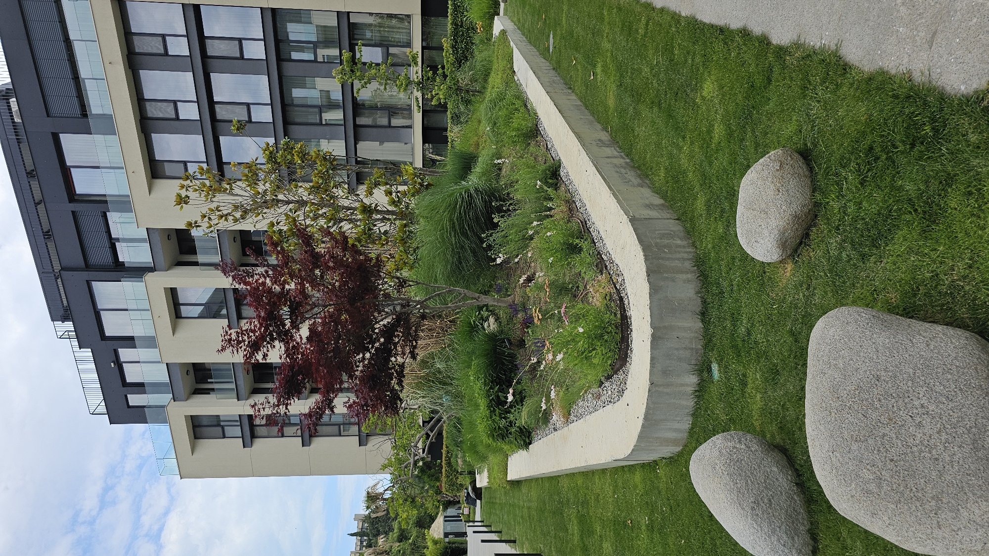The image depicts a modern apartment building in Varna, Bulgaria, with a landscaped garden in the foreground. The building features a light-colored facade with dark gray accents, large windows, and glass balconies. In front of the building, a raised garden bed is filled with a variety of plants, including a small, dark red-leaved tree, tall ornamental grasses, and smaller flowering plants. The garden bed is bordered by a concrete structure. Surrounding the garden bed is a manicured green lawn. Several large, smooth, gray stones are scattered on the lawn. A concrete pathway runs along the right edge of the frame, and black bollards line a paved area to the left. The sky is partly cloudy.