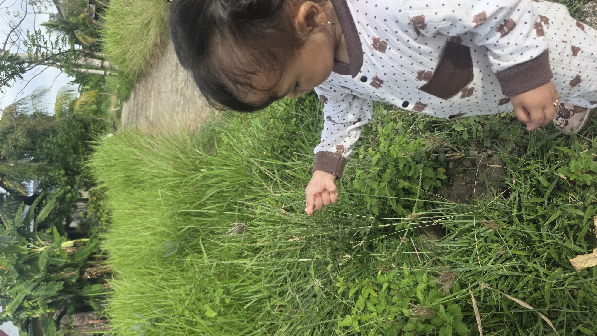 A child is standing in tall grass and looking at something on the ground. The child is wearing a white and brown outfit with bear designs. The background includes greenery, a tree, and a paved area, which places the location outdoors. The city is Lhokseumawe, Indonesia. The image is a close-up and captures the child's interaction with the outdoor environment.