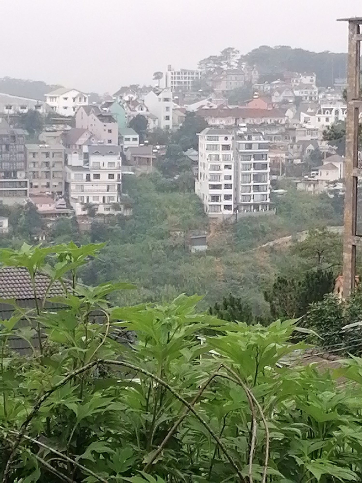 This is a landscape photograph capturing a bustling city sprawling across verdant hillsides, characteristic of Da Lat, Vietnam, under a hazy, overcast sky. The foreground is filled with vibrant, lush green foliage, primarily broad-leafed plants, with some branches gracefully arching across the lower and central parts of the frame. A portion of a dark-tiled roof is also visible on the left side of the foreground.
The midground reveals a dense arrangement of buildings nestled into the hilly terrain. A prominent white, modern multi-story building with numerous windows and balconies stands out centrally, situated amidst rich green trees and other structures. To its left, a cluster of residential or commercial buildings of varying heights and architectural styles are visible, predominantly in shades of white, beige, and light grey. Many buildings feature multiple floors, and some exhibit gabled or sloped roofs. On the far right, a vertical wooden or concrete structure is partially visible, hinting at ongoing construction or a utility feature.
As the cityscape extends into the background, the buildings become less distinct due to the atmospheric haze, blending with the distant green hills that rise under a light grey sky. The overall impression is one of a cool, misty climate, common in Da Lat, contributing to the soft, diffused lighting throughout the scene. No discernible human activity or visible text is present in the image. The time of day appears to be daytime, likely an overcast morning or afternoon, given the lack of sharp shadows.