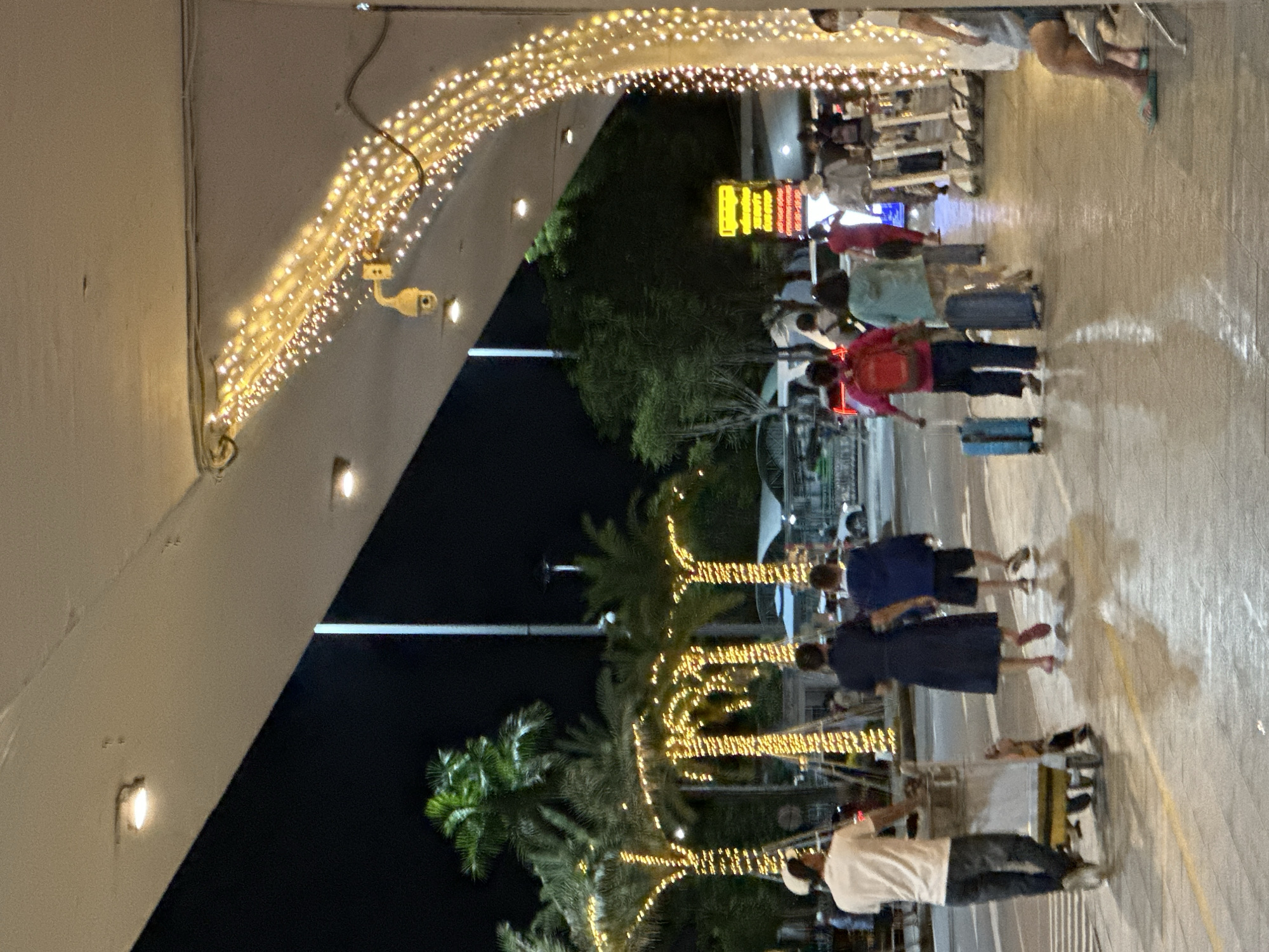 The image captures a nighttime scene in what appears to be a public area, possibly an airport or a tourist spot, with strings of warm, yellow lights illuminating an archway and several palm trees. The lighting suggests it's evening or night. The location context of Đà Nẵng, Vietnam, points to a tropical setting.
Several people are visible, most of them walking with luggage, indicating travel or a departure/arrival scenario. They are dressed in casual attire, and their body language suggests movement and purpose, but no strong emotions are discernible due to the distance and image quality. The presence of palm trees adorned with lights adds a festive or welcoming atmosphere.
Objects in the scene include various suitcases and bags carried by the individuals. There's also a security camera mounted on the illuminated archway. In the background, there are glimpses of shops or stalls, with a prominent yellow neon sign, though the text on it is not clearly legible. The ground appears to be paved, reflecting the lights. The overall impression is one of a well-lit, possibly busy, transit hub or entertainment area at night.