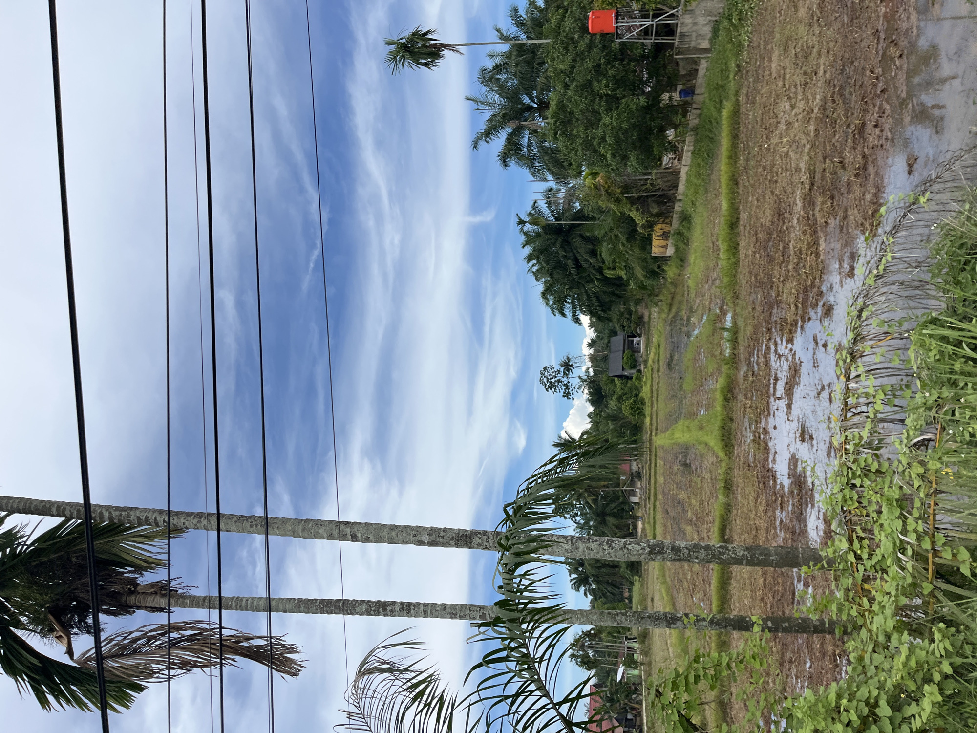 The image depicts a rural landscape in Seunebobaru, Indonesia, under a partly cloudy blue sky. In the foreground, a section of a harvested rice field is visible, with muddy patches and some remaining stubble. Several tall palm trees are prominent, with two in the left foreground and others scattered throughout the background. Overhead, thick black electrical wires stretch across the sky. In the middle ground, several small houses and structures are nestled amongst dense greenery and palm trees. On the right side of the image, a tall metal structure supports a bright orange water tank. The overall impression is of a tranquil, tropical environment.