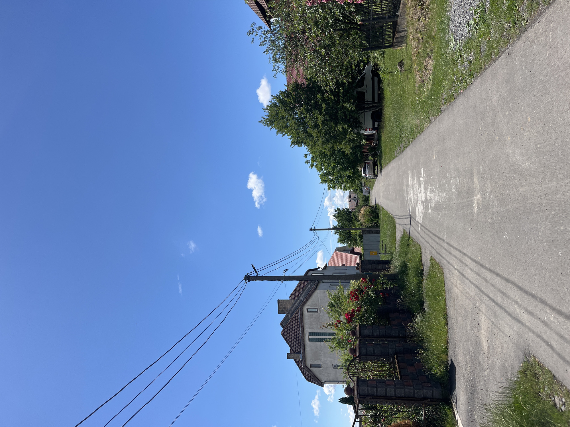 This is a photograph taken on a sunny day in the village of Onokivtsi, Ukraine, depicting a residential street with houses, trees, and a clear blue sky. The perspective is from the street, looking forward.

On the left side of the street, there is a dark, ornate metal fence with brick pillars. Behind the fence, a two-story house with a reddish-brown tiled roof and light-colored walls is visible. Red rose bushes are blooming against the fence and the side of the house. A concrete utility pole with multiple wires extending across the sky stands in front of the house.

The street itself is paved with asphalt and shows signs of wear. Grass and weeds grow along the edges of the street and the lawn areas. On the right side of the street, there are more houses and trees. A large, leafy green tree dominates the middle ground, with a white van and a light-colored car parked behind it. Further down the street, another house with a similar reddish-brown tiled roof is partially visible. The sky is a vibrant blue with a few scattered white clouds.