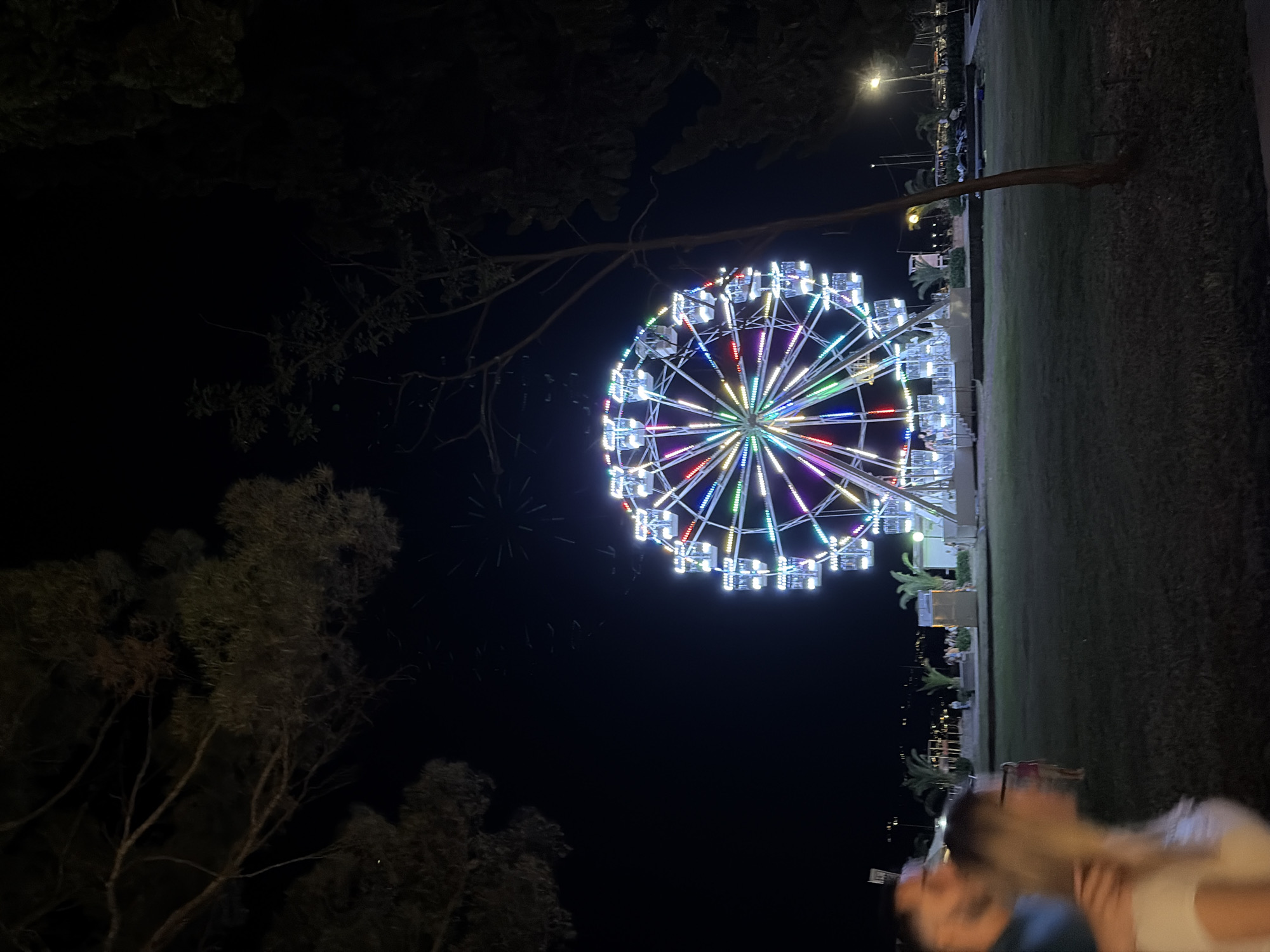The image depicts a night scene at an amusement park located in Budva, Montenegro. A brightly lit Ferris wheel, adorned with a spectrum of colorful lights, dominates the central portion of the frame. The wheel is surrounded by palm trees and other vegetation, with a dark night sky serving as the backdrop. In the foreground, two individuals, a man and a woman, are partially visible, appearing to be walking together. Their faces are blurred, suggesting motion. The ground is covered in grass, and in the distance, a cityscape with illuminated buildings is visible, indicating the presence of a town or city. Several streetlights are also visible, illuminating the park area. The overall atmosphere suggests a festive and recreational setting.
