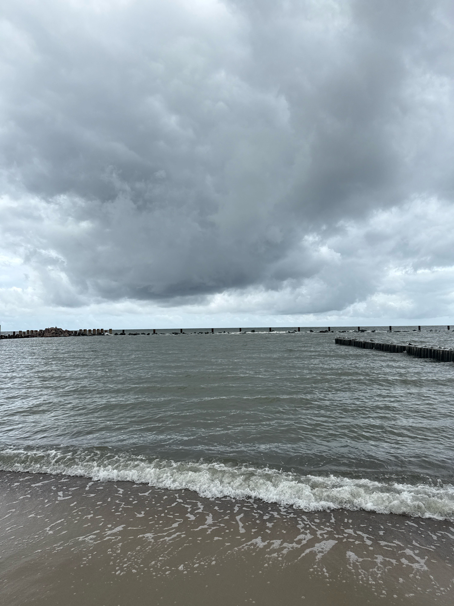 The image depicts a view of the Baltic Sea near Svetlogorsk, Russia, under a heavily overcast sky. The foreground features a sandy beach with gentle waves lapping at the shore, creating white foam and ripples. In the mid-ground, the dark, choppy water stretches towards the horizon, where a line of wooden breakwaters or groynes are visible, jutting out into the sea. These structures are arranged intermittently, with some appearing as rows of vertical posts and others as larger, more rugged rock formations. Seagulls are perched on some of the breakwaters. The sky is filled with thick, grey clouds, suggesting a stormy or unsettled weather condition. The overall atmosphere is somber and windswept.
