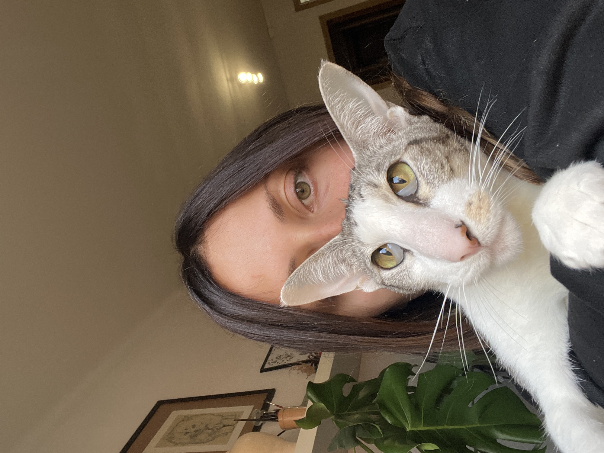 A selfie-style, medium close-up shot depicts a young woman with dark brown hair and green eyes looking directly at the camera, partially obscured by a light grey and white tabby cat. The cat also looks directly at the camera with its yellow-green eyes. The woman is wearing a black garment. Behind them, a room interior is visible, with framed artwork on a shelf and a potted monstera plant. The light appears to be natural, possibly from a window. There is no information in the image to confirm its location in Barcelona, Spain.
