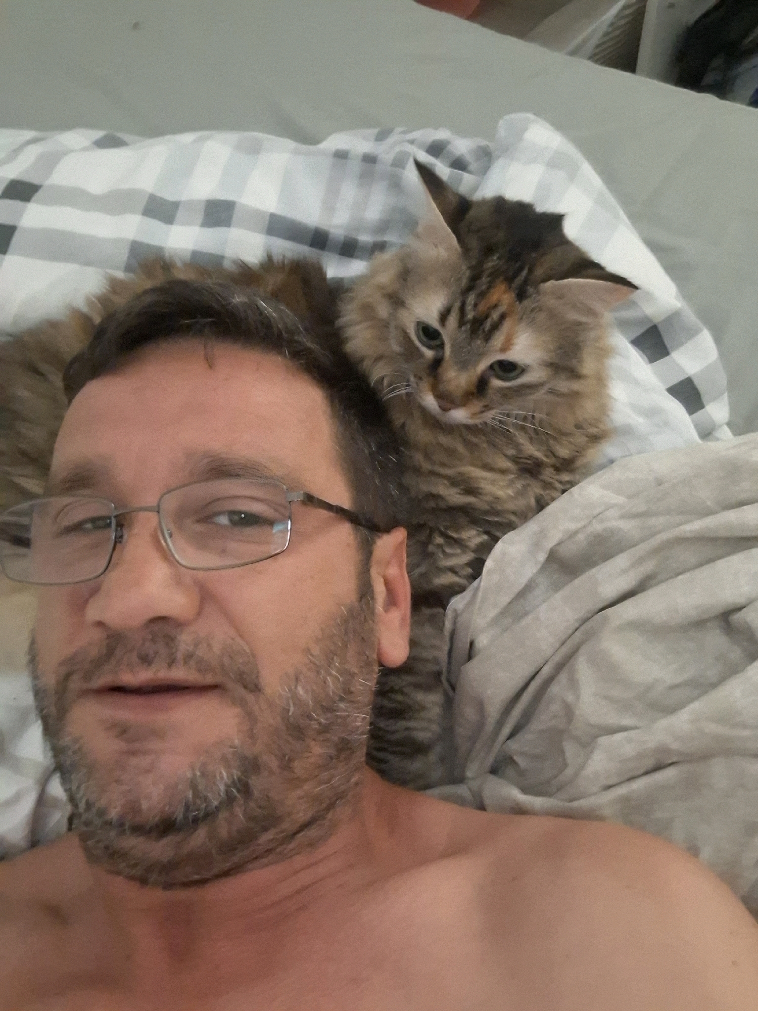 This is a close-up selfie taken indoors, likely in a bedroom, given the presence of a bed with checkered and gray bedding. In the foreground, a man with glasses and a beard is looking towards the camera. Behind him, a fluffy cat with tabby markings is nestled against his head, also looking towards the camera. The lighting suggests it is daytime, but there is no indication of the specific location within Yerocham, Israel. The image is taken from a high angle, looking down at the subjects.
