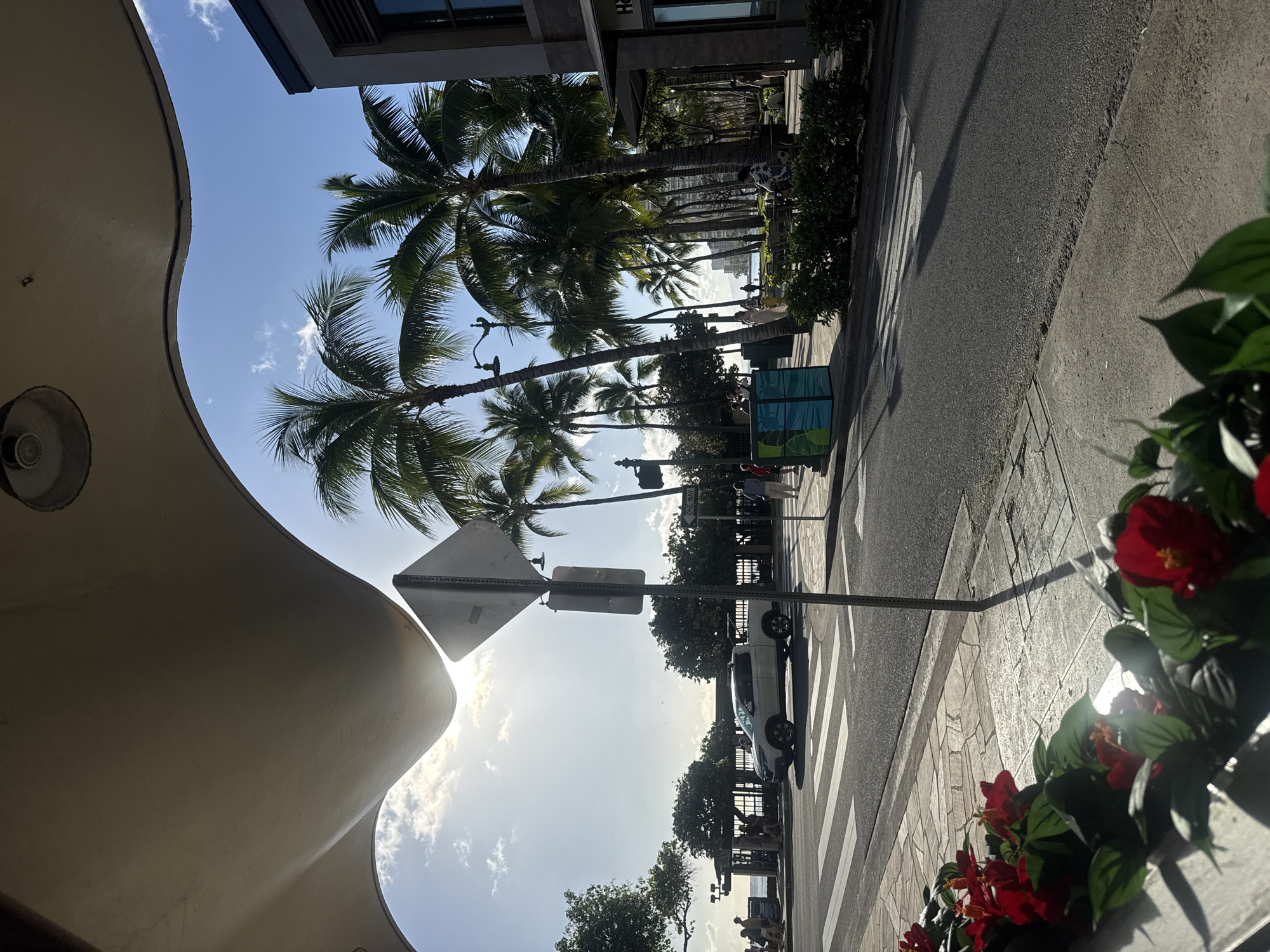 The photograph shows a street scene in Honolulu, USA. Palm trees line the street, partially obscuring buildings and the sky. A crosswalk is visible, and a white vehicle is parked on the side of the road. A pedestrian sign is in the foreground, and a decorative planter with red flowers is on the right. People can be seen walking in the distance near the water.