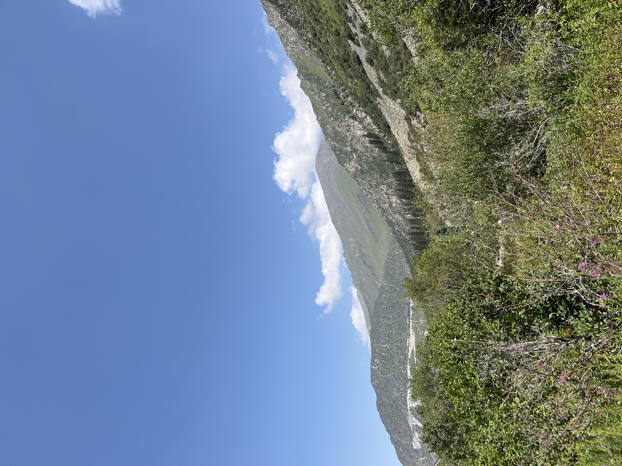 A wide-angle, outdoor, vertical shot captures a mountainous landscape under a clear blue sky with scattered white clouds. The foreground is dominated by dense, green vegetation, including bushes and some flowering plants with purple blooms. Behind the foliage, the slopes of a mountain rise, covered in rocks and sparse green growth. Further back, more distant mountains are visible, with their peaks appearing rounded and covered in green grass. A winding road or path can be seen traversing the mountainside in the middle ground, with some structures resembling buildings visible along it. The overall impression is of a natural, undeveloped mountainous region, likely in a rural or wilderness area. The location is identified as Unknown, Kyrgyzstan.