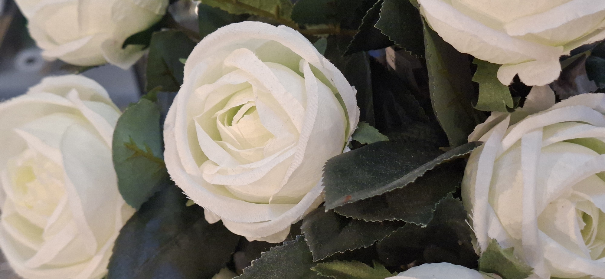 A close-up shot focuses on a bouquet of artificial white roses, interspersed with dark green leaves. The central rose is in sharp focus, showcasing its layered petals and soft texture. Other roses and leaves are visible in the foreground and background, some slightly blurred. The overall impression is of a decorative arrangement, likely indoors, as indicated by the slightly reflective and out-of-focus background which might suggest a surface or wall. There is no indication of the city of Lahti, Finland, or any specific location within it.