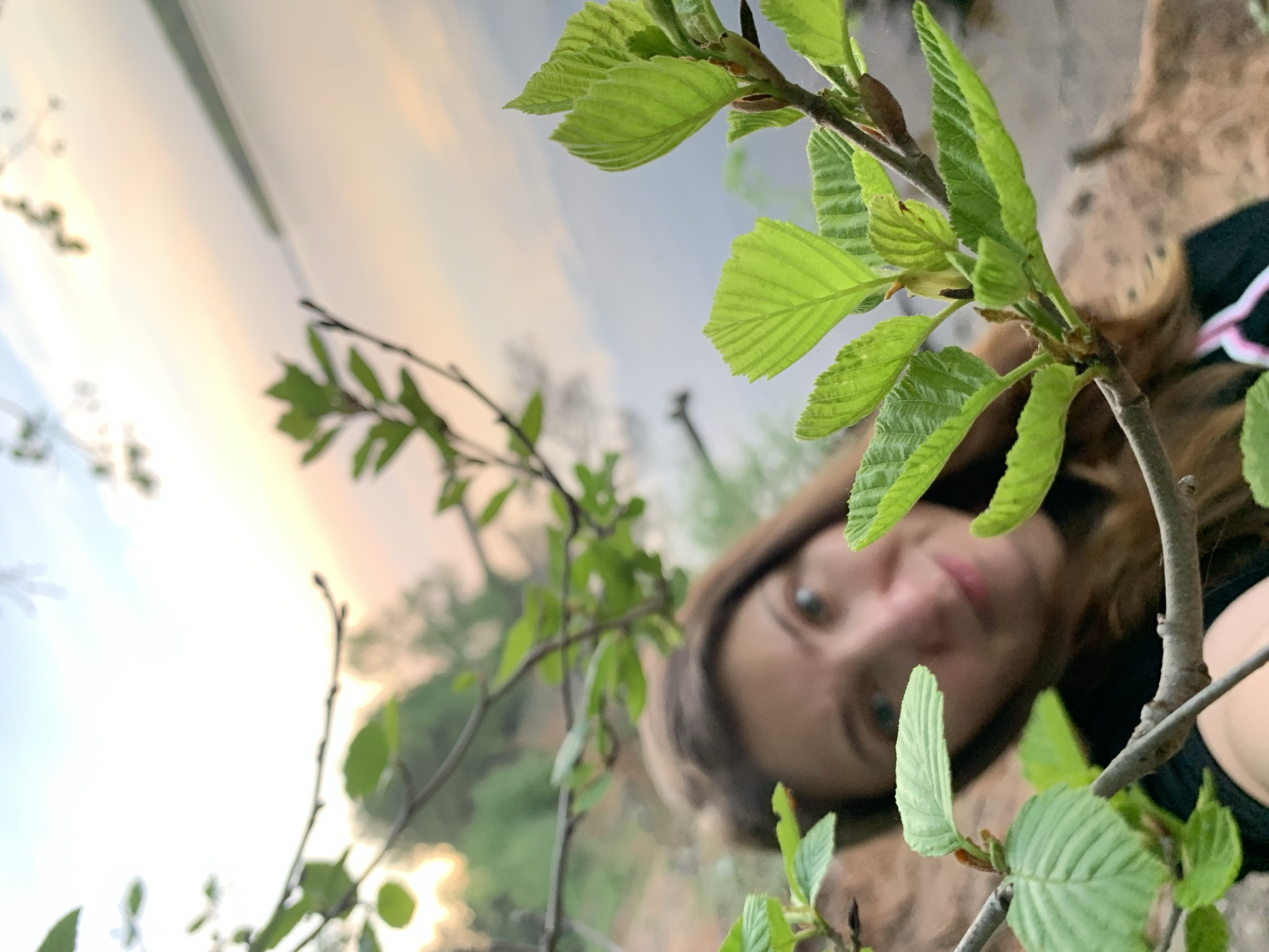 The image shows a woman with light brown hair peering through green foliage. She appears to be outdoors. In the background, there is a body of water, reflecting a soft, sunset-like sky. The location is implied to be Chaikovsky, Russia, though there are no explicit visual cues to confirm this.