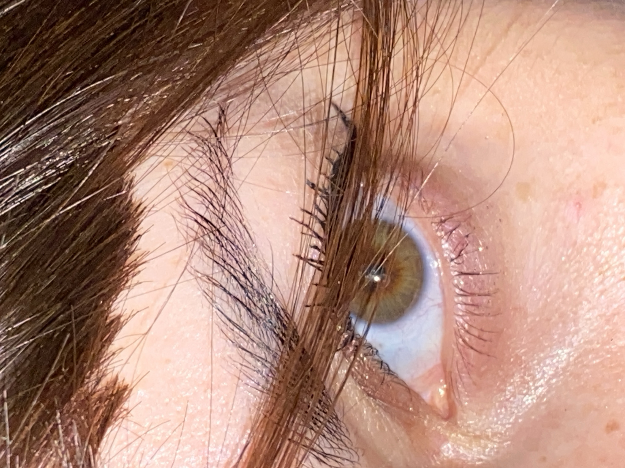 This is a macro-level, close-up photograph of a human eye and its surrounding features. The subject's right eye is visible, featuring an iris of hazel or light brown-green color. Dark brown hair, likely from the head, cascades across the eye, eyebrow, and upper eyelid, creating a textured, somewhat disheveled appearance.
The eyelashes are prominent, dark, and appear to be coated with mascara, giving them a slightly clumpy yet defined look. The eyebrow is partially visible on the left side of the frame, matching the dark brown hair color. The skin around the eye shows fine texture, visible pores, and faint freckles or blemishes, with a subtle sheen that suggests natural oils or a slight cosmetic application. Small, light specks are visible on some strands of hair, potentially dust or reflections. A small, bright specular highlight is present in the pupil, indicating a light source.
No specific activity is depicted; rather, the image focuses on the detailed anatomy of the eye and hair. There is no visible text in the image. No specific environmental or location cues are discernible from the visual content that would indicate Votkinsk, Russia.