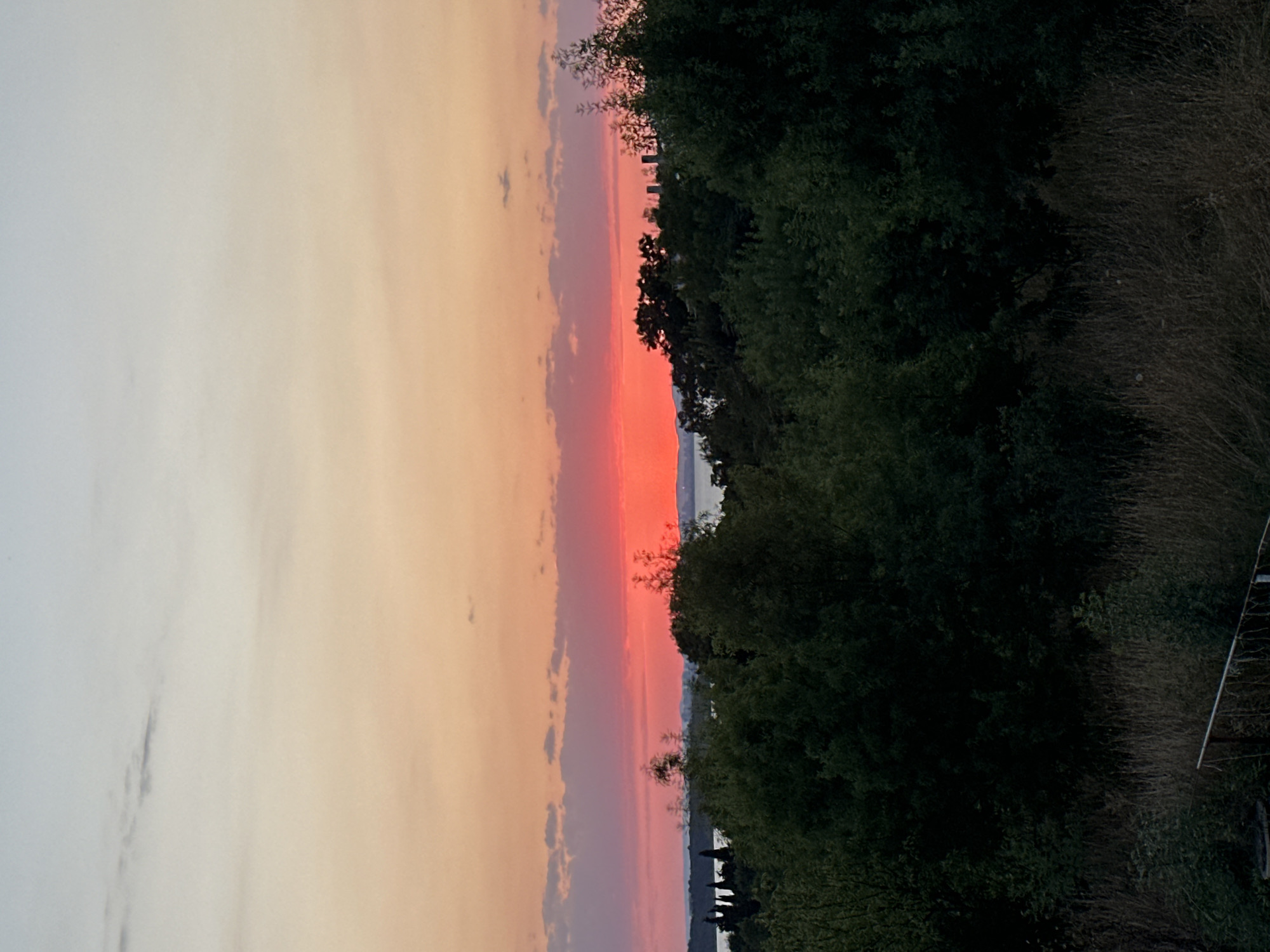 The image depicts a sunset over the Black Sea, viewed from a slightly elevated position, likely within Chernomorets, Bulgaria. The sky transitions from a pale blue at the top to a vibrant pink and orange hue near the horizon, where the sun is setting. The sea is visible as a band of lighter color separating the sky from the land. In the foreground, a dense canopy of dark green trees dominates the lower portion of the image. Beyond the trees, a hazy silhouette of distant buildings and vegetation can be discerned along the coastline. The overall impression is one of a tranquil natural landscape at dusk.