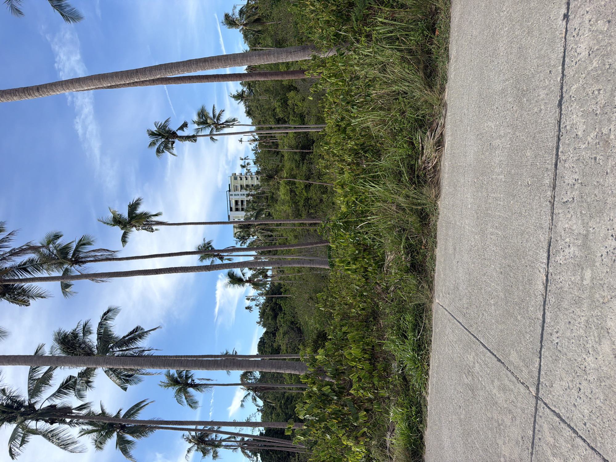 The image depicts a view of Baan Tai, Thailand, characterized by a concrete pathway in the foreground. Beyond the pathway, lush green vegetation and tall palm trees dominate the scene, stretching towards a background of densely forested hills. A modern, multi-story building with a light-colored facade is visible on the top of one of the hills, nestled among the palm trees. The sky above is a clear blue with scattered white clouds. The overall environment suggests a tropical coastal or island setting.