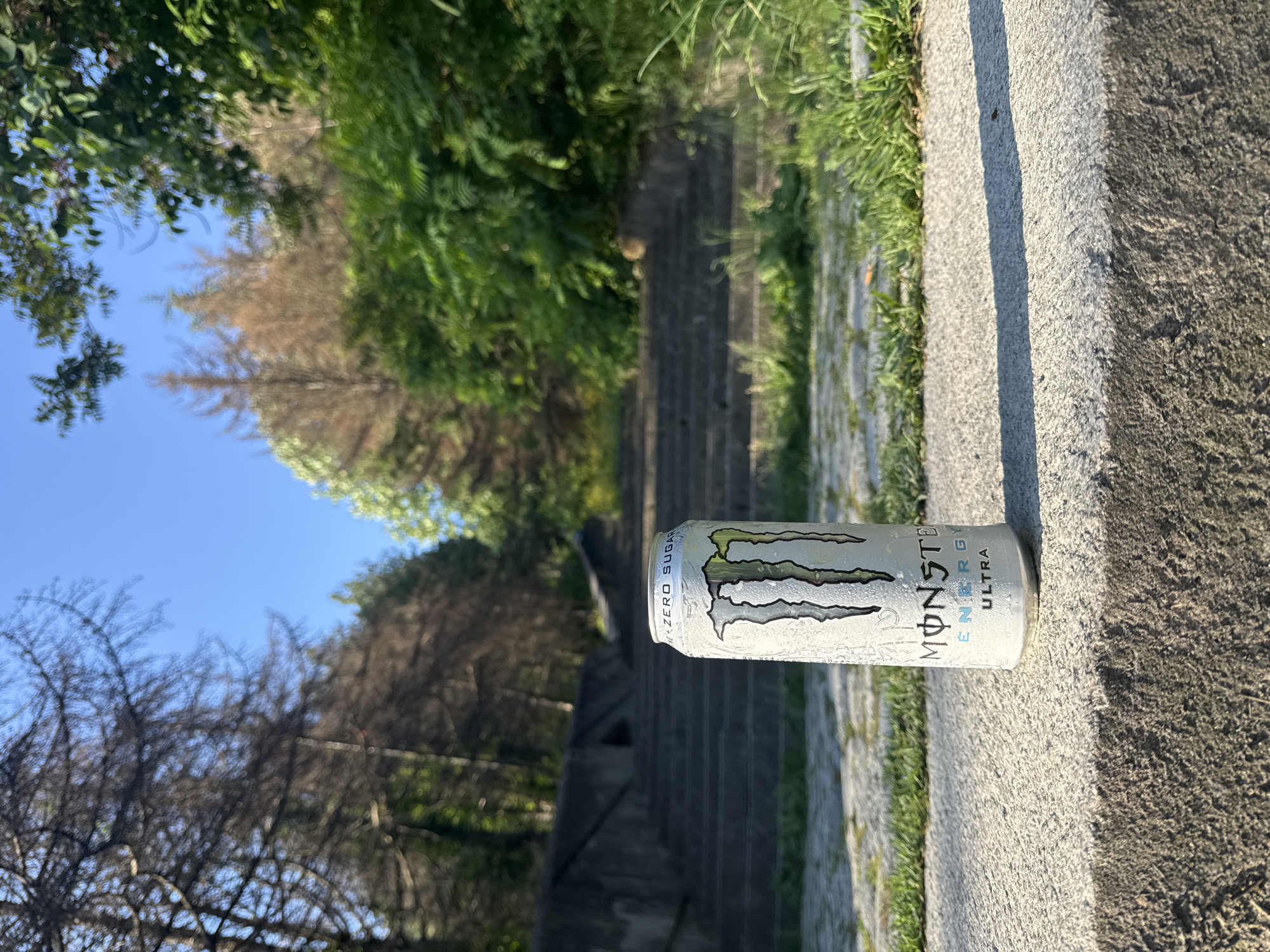 A Monster Energy Ultra can lies on a stone surface, likely part of a staircase or retaining wall, with green grass visible along its edge. In the background, there is a set of stone steps leading upwards through a forested area. Some trees are bare or have dead branches. The sky is visible through the trees. The location is Shumen, Bulgaria.