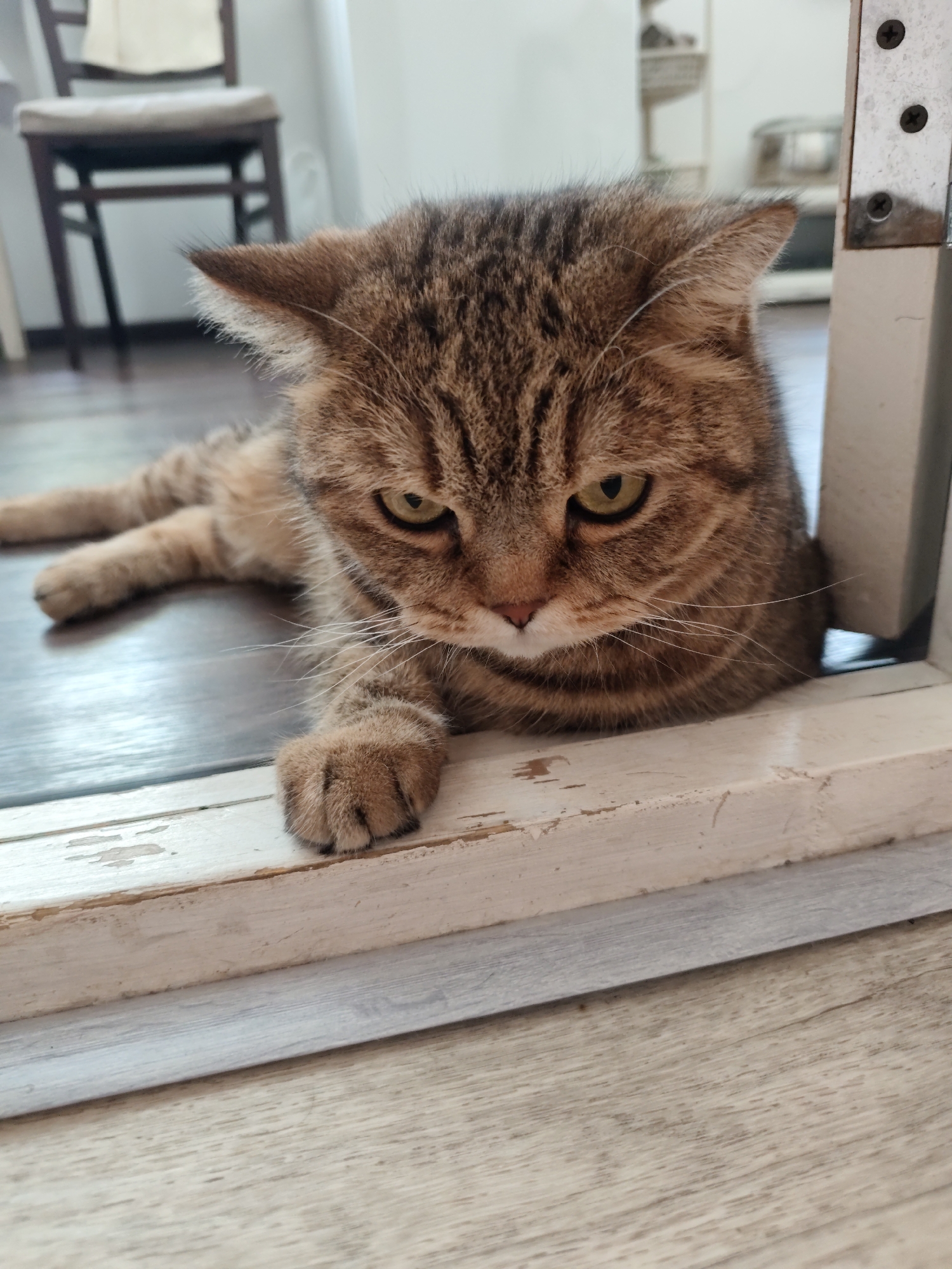 A tabby cat with green eyes is lying on a wooden floor, resting its head on a white wooden ledge. The cat's fur is a mix of brown, black, and tan stripes. Its left paw is extended forward, resting on the floor. The background is blurred, but appears to be an indoor setting with furniture. The image is a close-up shot, focusing on the cat. There is no discernible information about the location in Komsomolsk-on-Amur, Russia.