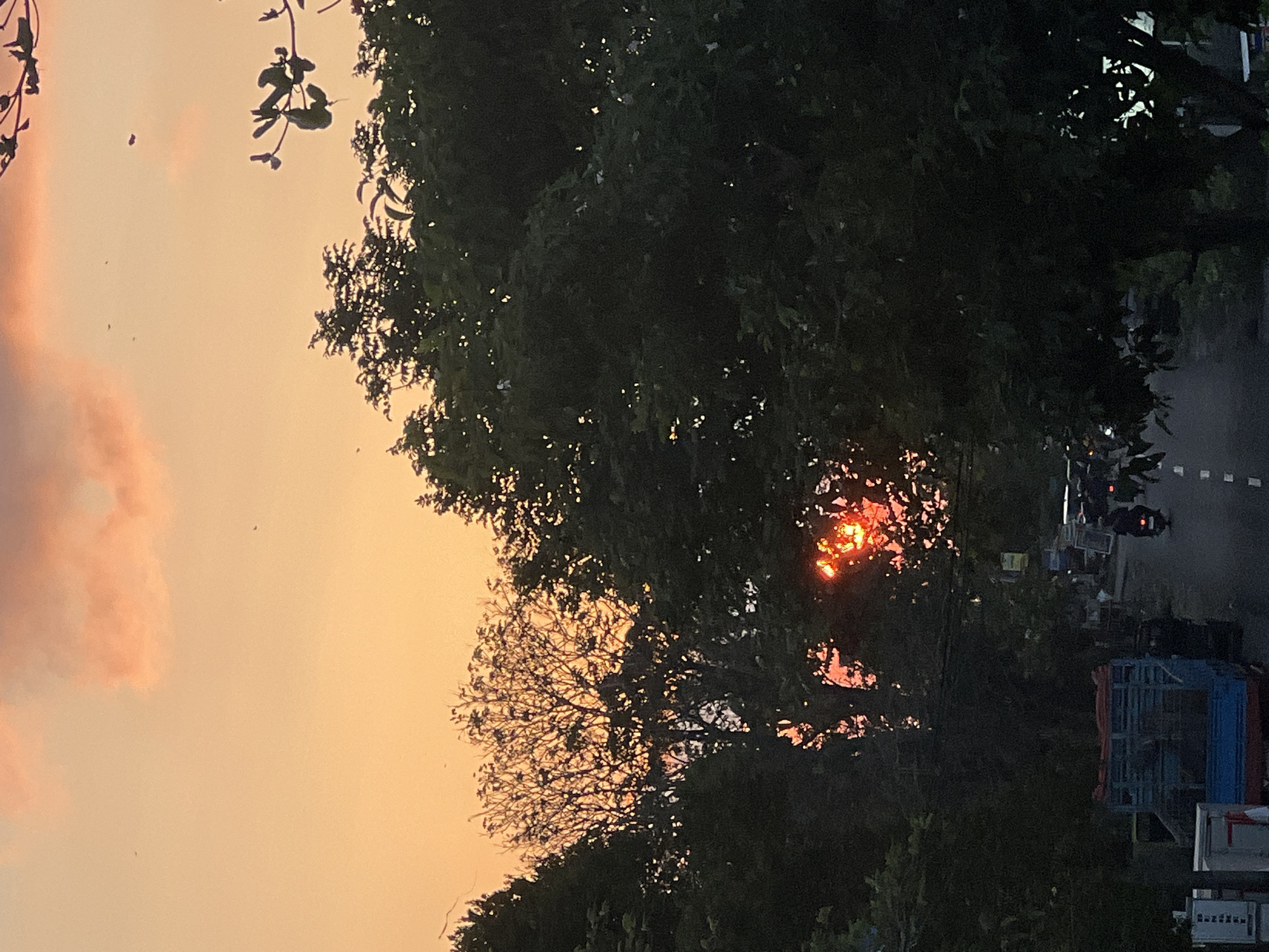 The image depicts a dusky street scene in Denpasar, Indonesia, at sunset. The sky is a gradient of warm orange and pink hues, with scattered clouds. Silhouetted against the sky are the branches of several trees, one in particular with intricate, leafless branches.
In the midground, a road is visible with several vehicles. A motorcycle rider is prominent on the right side of the road. Further down the road, other vehicles, including what appears to be a truck with a blue trailer, are present. The left side of the road shows what might be part of a building or structures with stacked items. The overall atmosphere suggests a typical evening on a street in a tropical urban environment, with the setting sun casting long shadows and highlighting the natural elements amidst the infrastructure.