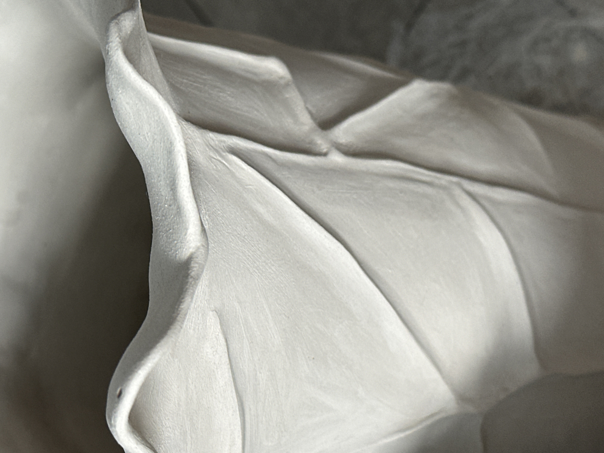 The image is a close-up, macro photograph of a white, textured ceramic or plaster object, possibly a vase or sculpture. The surface exhibits organic, flowing lines and folds, creating a sense of depth and dimensionality. The texture appears slightly rough, with visible striations and subtle imperfections. The lighting creates soft shadows that highlight the contours of the object, emphasizing its sculptural qualities. The background is dark and out of focus, drawing all attention to the intricate details of the white object. There is no indication of any specific location in Nevinnomyssk, Russia, or any people or actions depicted.