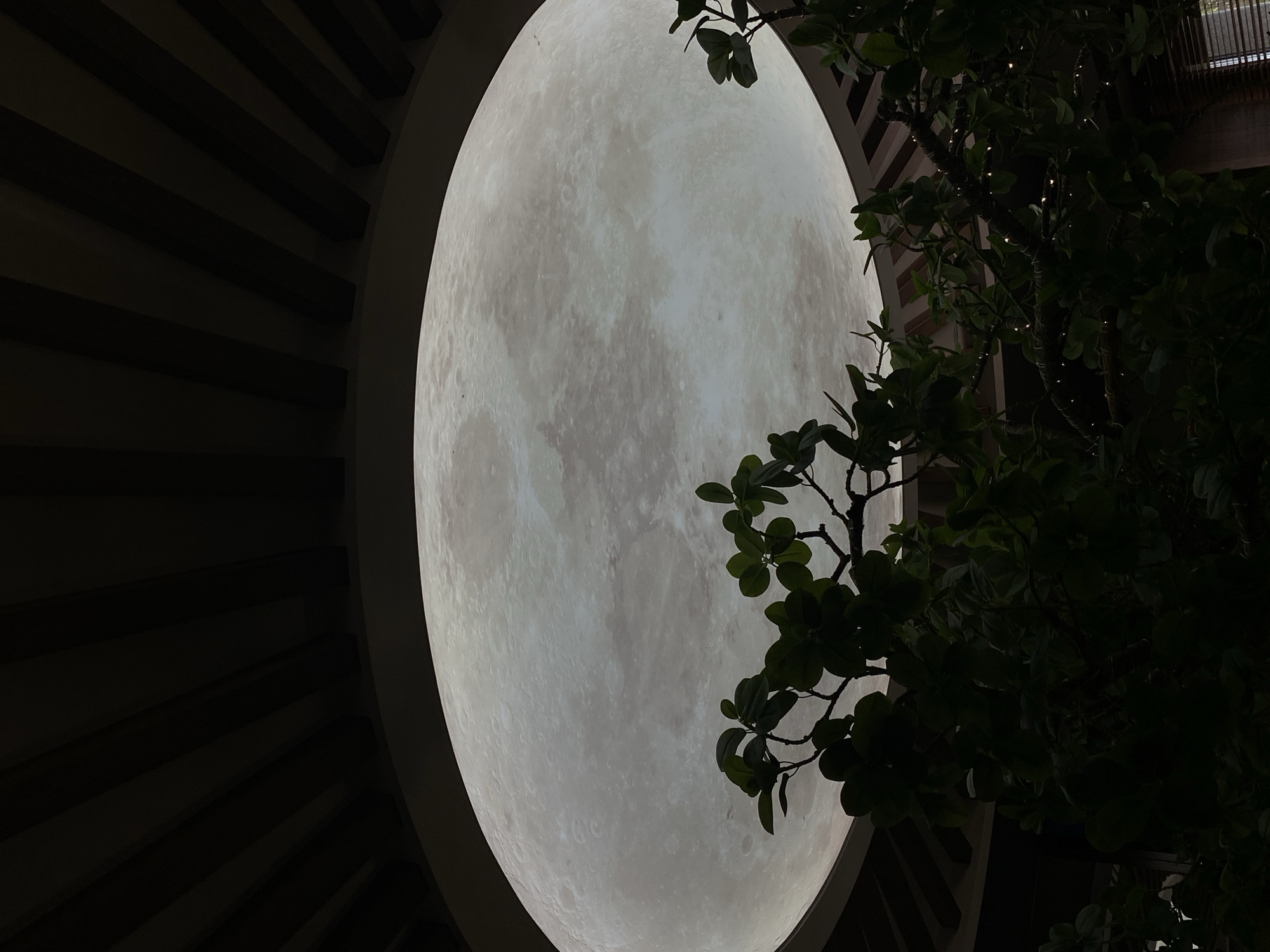 The image shows a large, circular, illuminated structure resembling the moon, possibly an art installation or decorative element within a building. The “moon” has a detailed surface texture mimicking lunar features. Part of the “moon” is framed by a plant or small tree with dark green leaves. The lighting suggests it is either nighttime or an indoor setting. The background includes elements of the building's interior architecture, with beams or structures visible in the periphery. The context of Votkinsk, Russia, is not evident in the image itself.