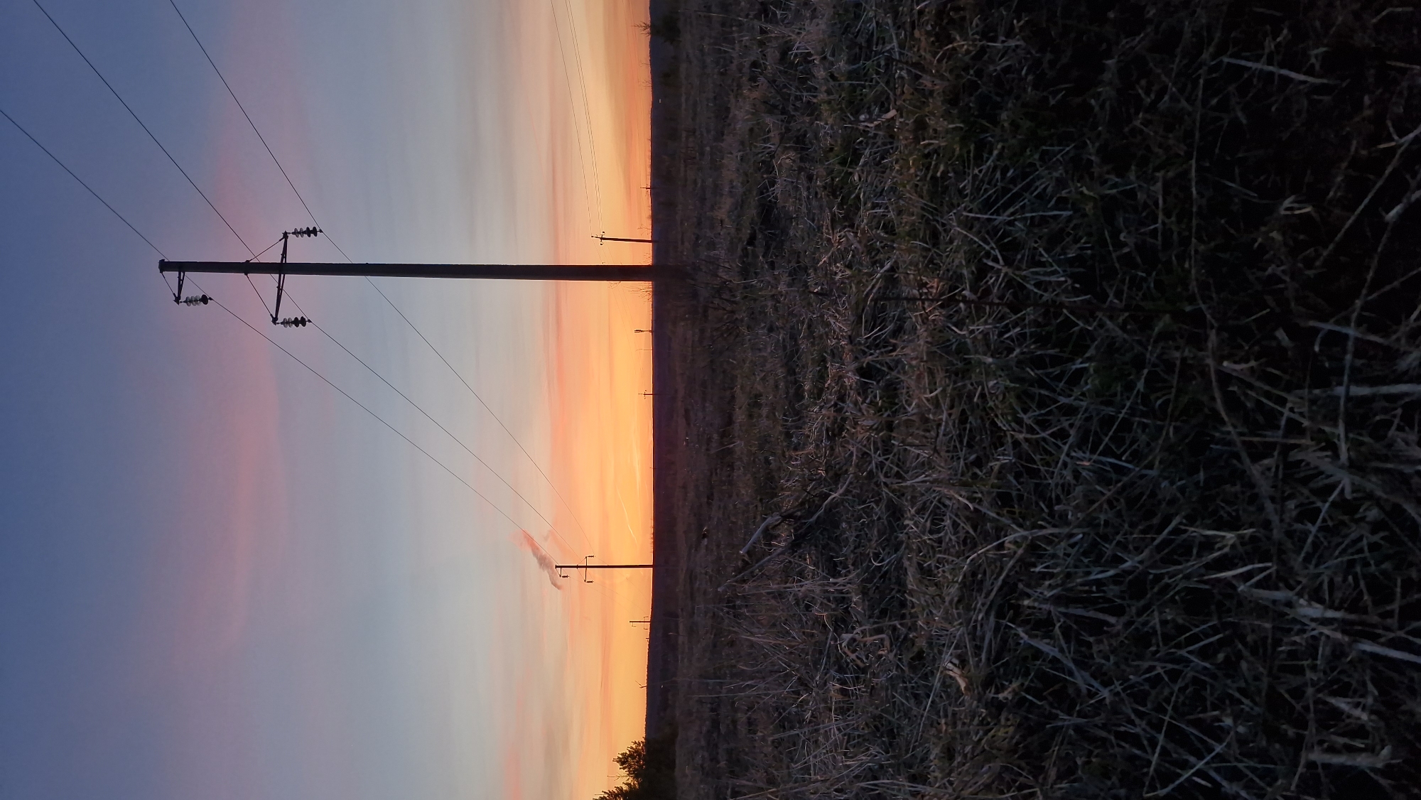 The image displays a serene rural landscape, likely captured during either sunrise or sunset in Otchor, Russia. The sky, dominating the upper portion of the scene, exhibits a stunning gradient of colors. On the left, it transitions from a deep, muted blue to soft purples and pinks, eventually brightening to vibrant oranges and yellows near the horizon line.
A prominent utility pole, silhouetted in black, stands on the left side of the frame, supporting multiple power lines that stretch horizontally across the sky and recede into the distance. Additional, smaller utility poles are visible as dark shapes along the distant horizon, suggesting a vast, open terrain.
The ground, comprising the right side and bottom of the image, is covered in dry, sparse, and tangled grass and brush. The low light casts the vegetation in dark, muted tones of brown, grey, and black, providing a textural contrast to the smooth, colorful sky. There are no visible people or animals, contributing to the quiet and undisturbed atmosphere of the scene. No text is visible in the image.
