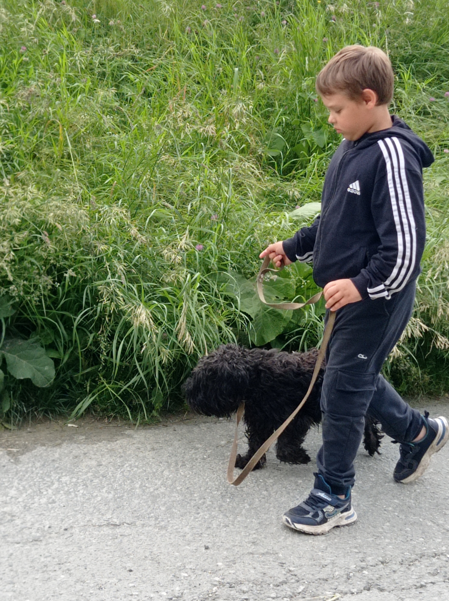 A young boy walks his shaggy black dog on a leash along a paved path. The boy is wearing a dark blue Adidas tracksuit with white stripes on the sleeves and pants. He has brown hair and is looking down at his dog. The dog is medium-sized with curly black fur and is wearing a collar. The path is next to a grassy area filled with tall green grass and some small pink flowers. The scene appears to be outdoors during the daytime, with natural lighting. The overall mood seems calm and peaceful. The setting suggests a park or a rural area in Degtyarsk, Russia. The text "adidas" is visible on the boy's jacket.