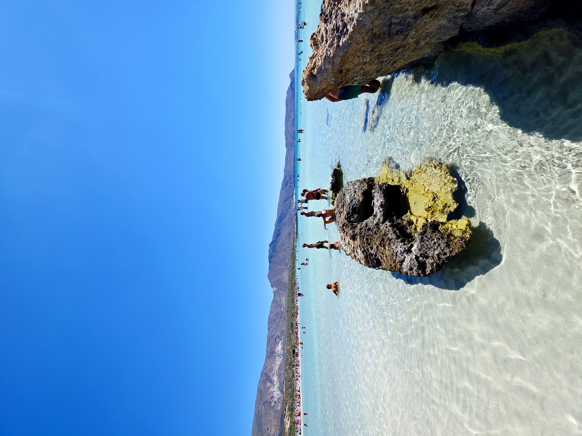This is an eye-level, full shot of a crowded beach in Elafonisi, Crete, Greece. The sky is a brilliant, cloudless blue. The foreground is dominated by shallow, crystal-clear turquoise water with a sandy bottom, rippled by light. Two large, rough, light-brown rocks jut out from the water on the right, casting shadows. Another rocky formation, covered in green moss, is submerged and appears as a darker line in the water. A group of people are visible in and around the water. Some are standing in waist-deep water, while others are wading closer to the shore or sitting on the rocks. In the middle ground, a long, submerged rocky path leads into the sea, with several people standing on it. Further back, the beach is densely populated with sunbathers and swimmers, stretching towards a line of low, barren mountains in the distance. The water remains shallow and clear across the entire expanse.