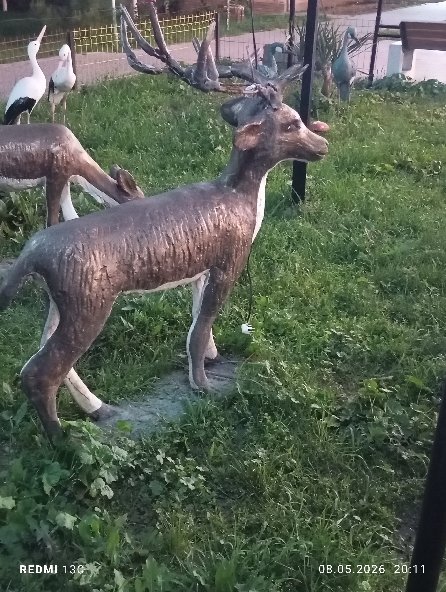 The image shows a garden scene, possibly in a park or public space in Gazalkent, Uzbekistan. Dominating the foreground are statues of reindeer, one with a bright red nose, giving it a whimsical appearance. Another statue of a reindeer can be seen behind the first one. Behind the deer statues are statues of white storks, and another statue of a blue crane-like bird. The garden is covered with grass and various plants. The image was taken on May 8, 2026, at 20:11.