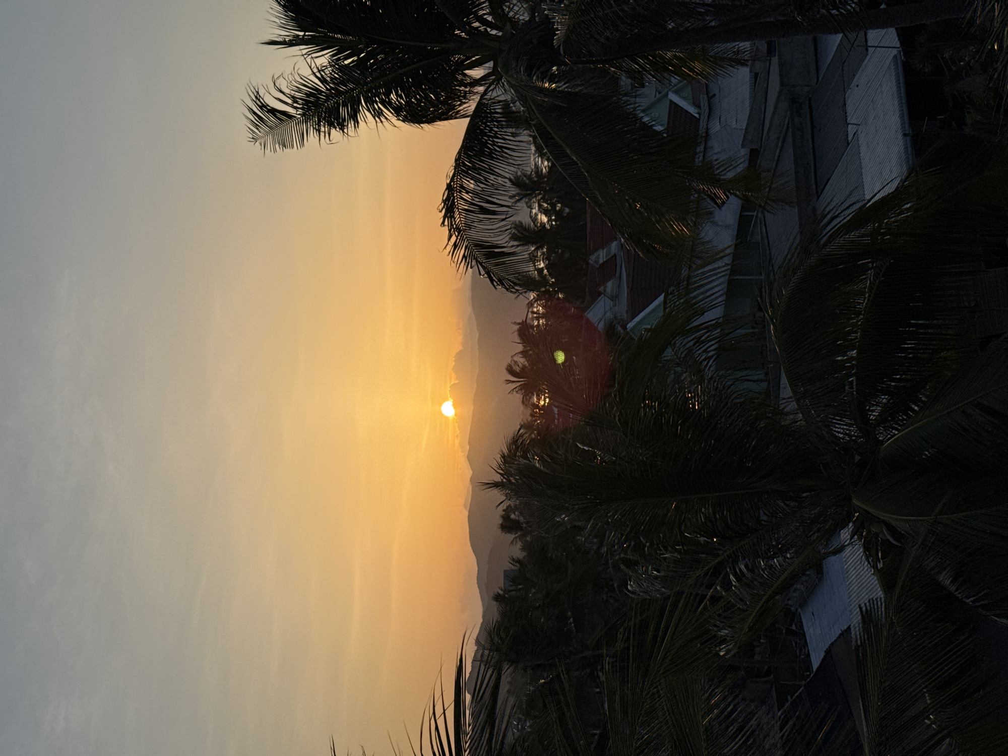 The image captures a sunset scene in Song Cau, Vietnam. The sun, a bright orange orb, is partially obscured by clouds as it dips below a range of hazy, distant mountains. The sky transitions from a pale blue at the top to a warm gradient of yellow and orange near the horizon. In the foreground, silhouetted palm trees with long, fronded leaves dominate the frame, their dark shapes contrasting with the illuminated sky. Below the trees, rooftops of buildings are visible, appearing as a mosaic of gray and darker hues, suggesting a residential or semi-urban area. The overall impression is one of a tranquil evening in a tropical coastal town.